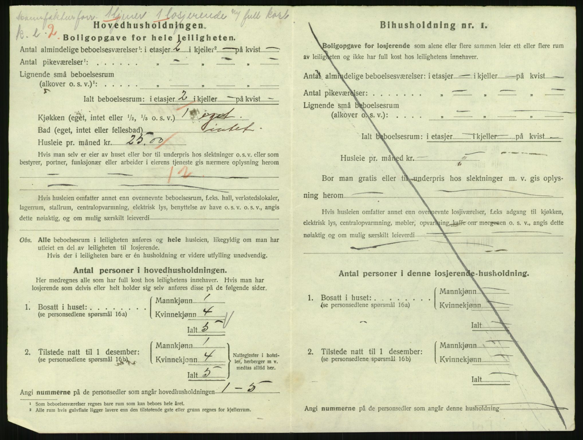 SAH, 1920 census for Gjøvik, 1920, p. 1745