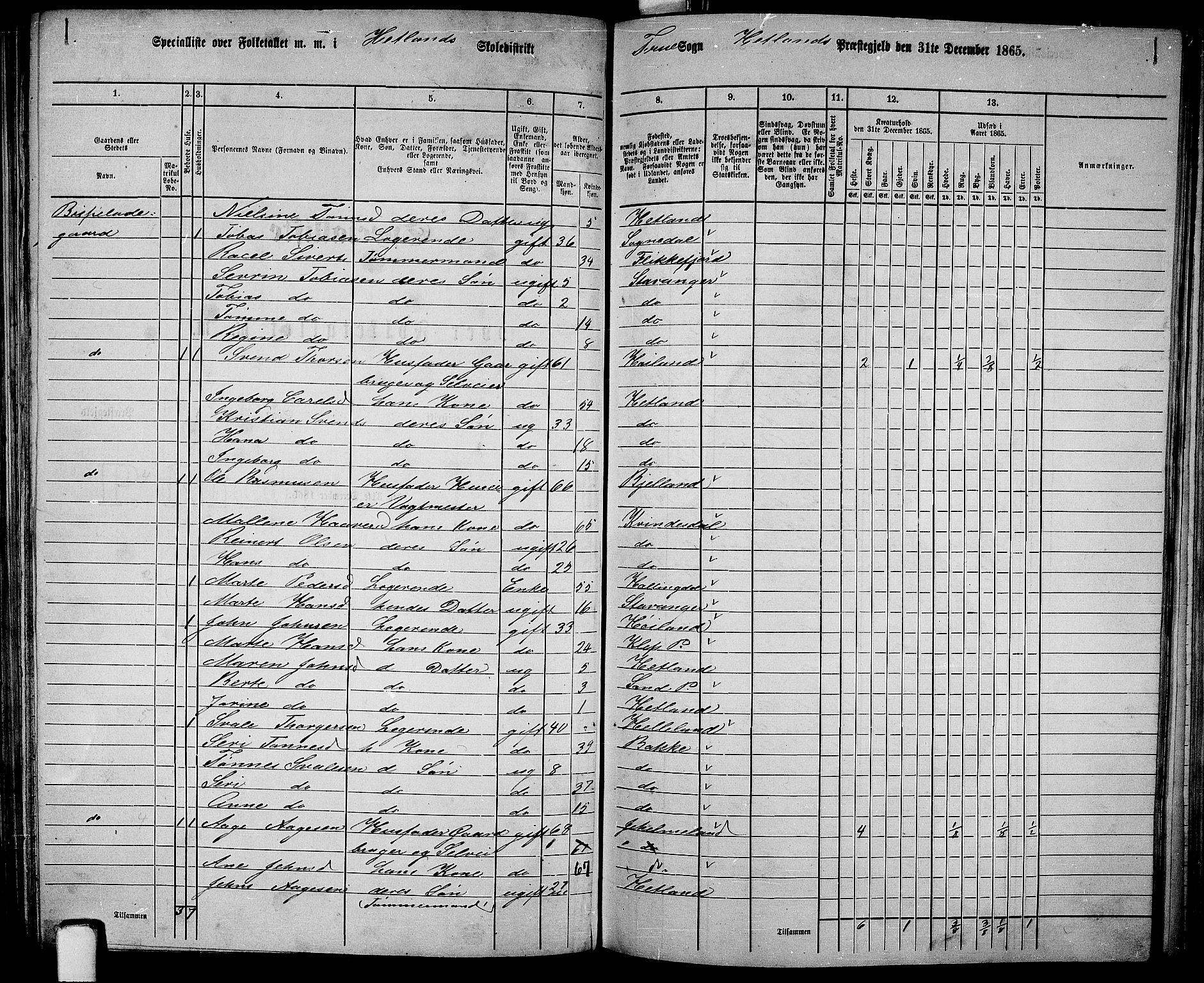 RA, 1865 census for Hetland, 1865, p. 128