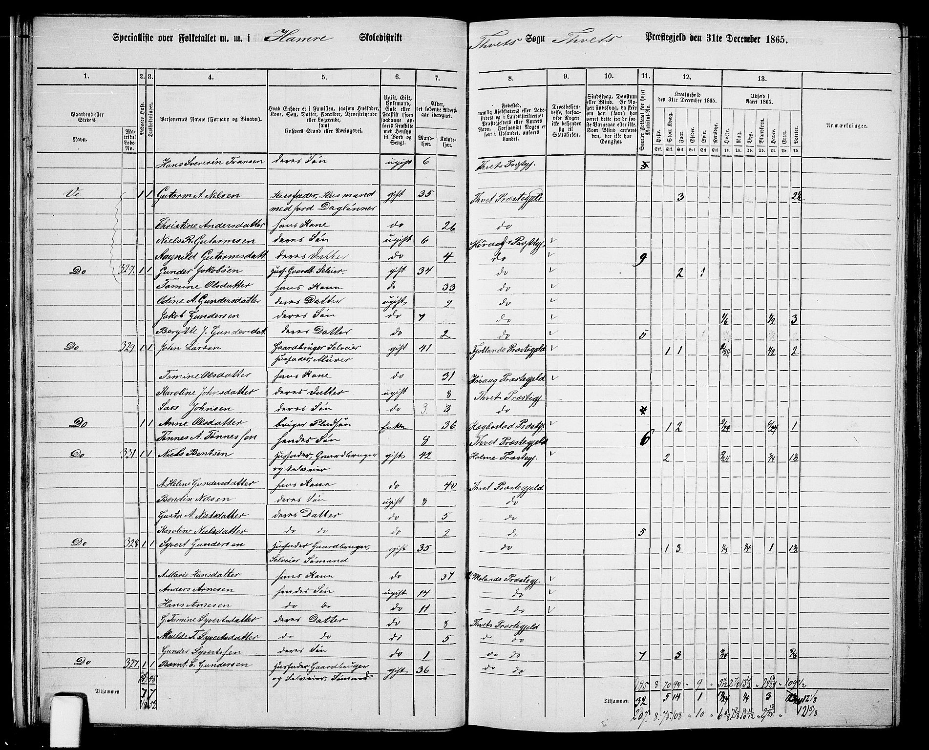 RA, 1865 census for Tveit, 1865, p. 25