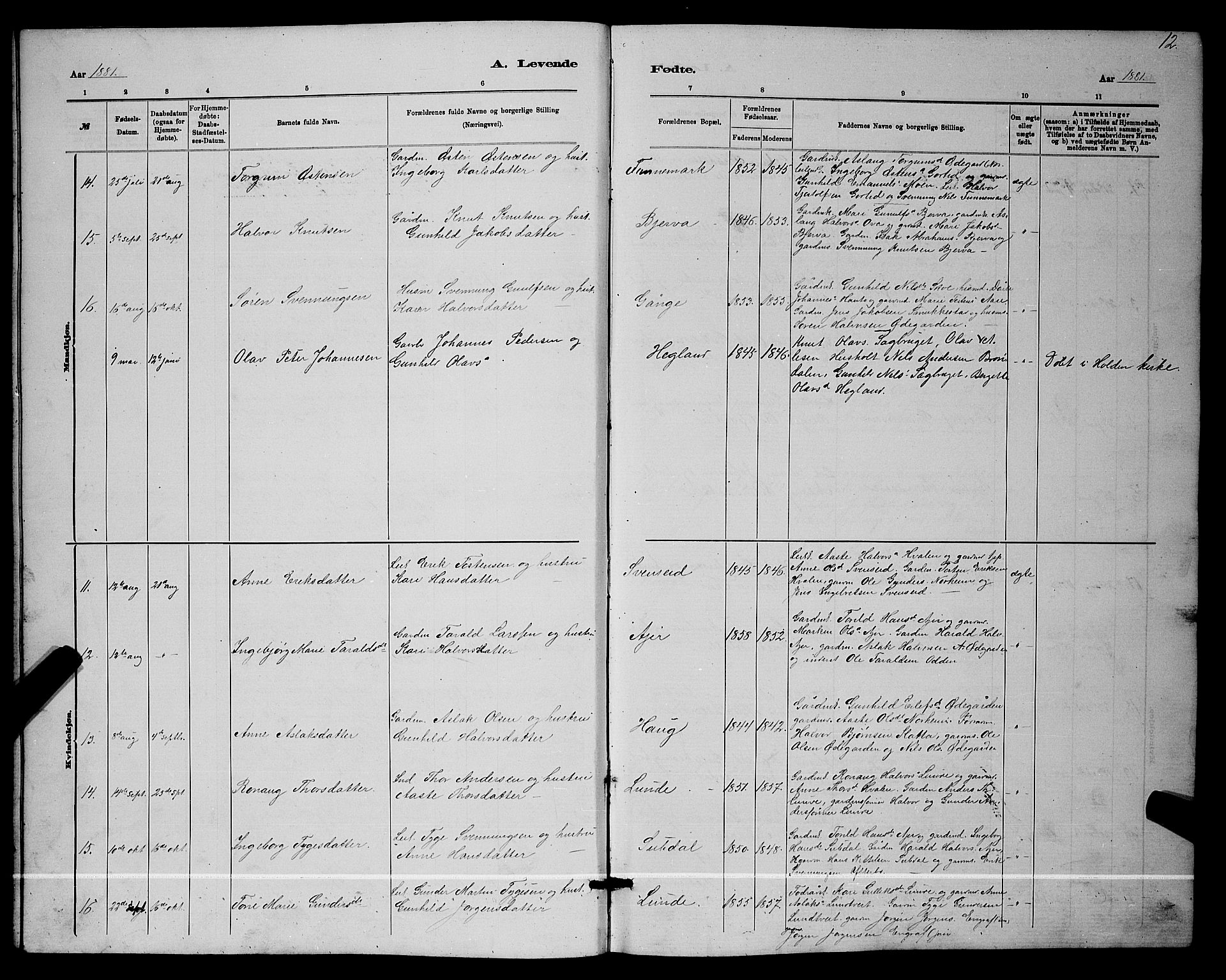 Lunde kirkebøker, AV/SAKO-A-282/G/Ga/L0001b: Parish register (copy) no. I 1, 1879-1887, p. 12