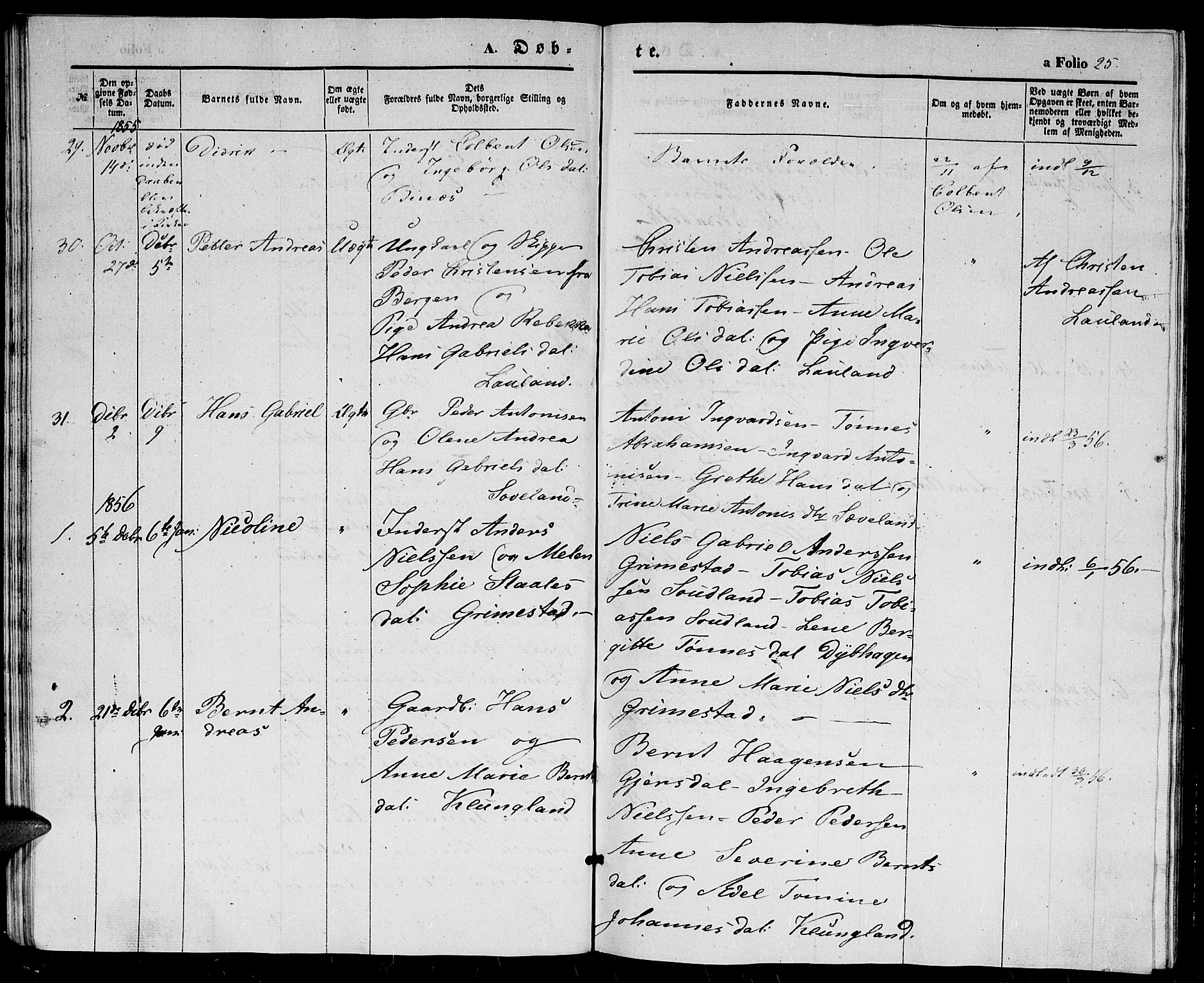 Herad sokneprestkontor, SAK/1111-0018/F/Fb/Fba/L0002: Parish register (copy) no. B 2, 1852-1862, p. 25