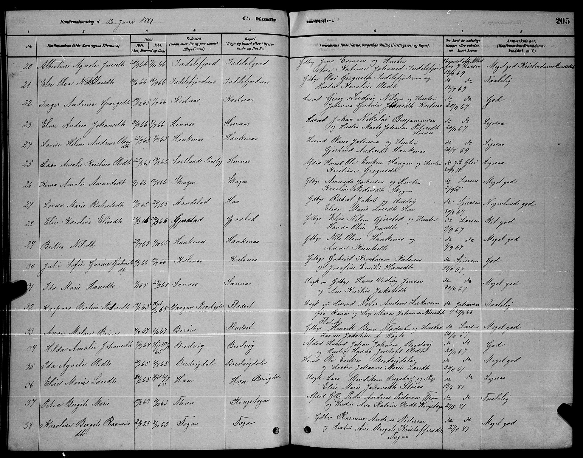 Ministerialprotokoller, klokkerbøker og fødselsregistre - Nordland, AV/SAT-A-1459/888/L1267: Parish register (copy) no. 888C05, 1878-1890, p. 205