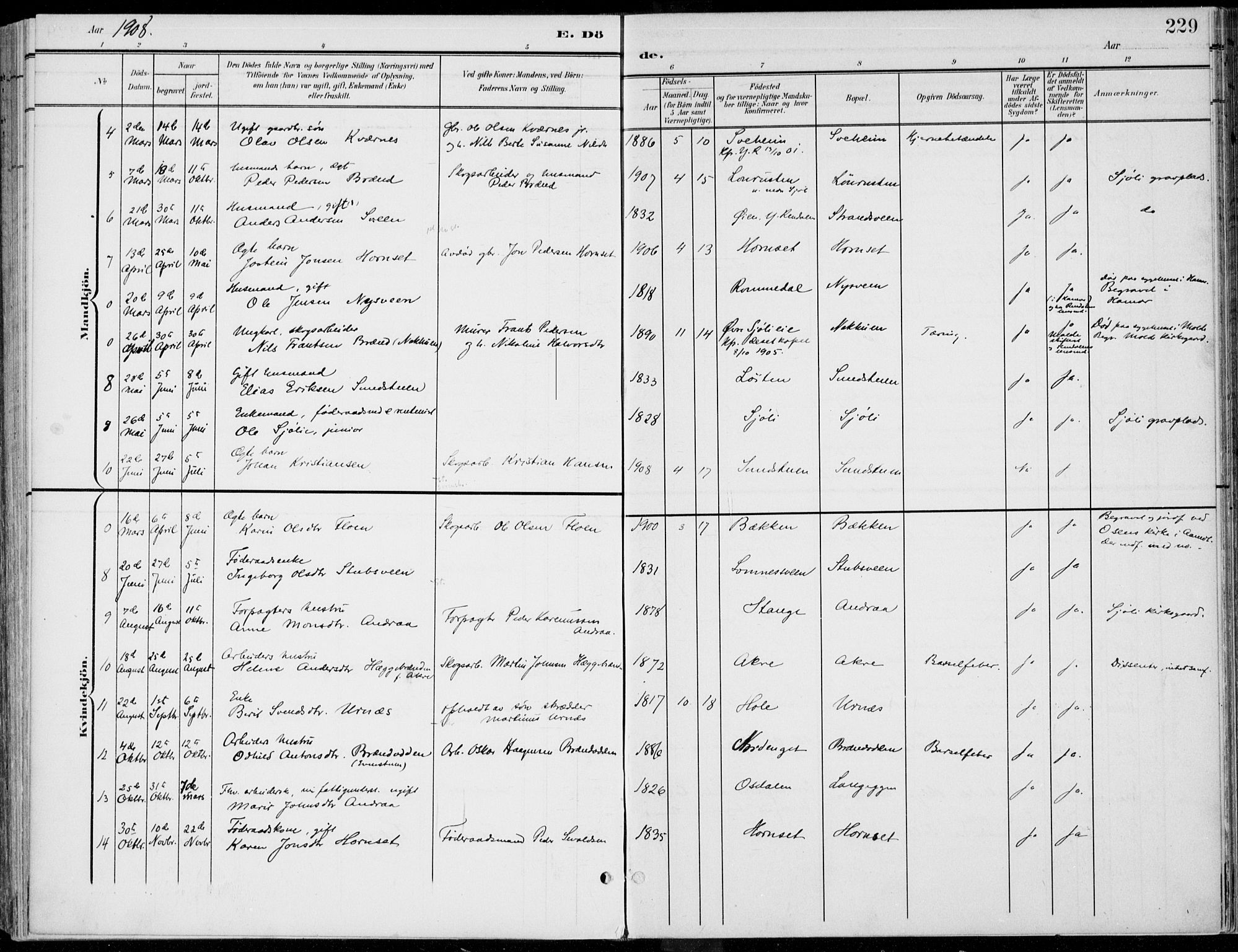 Rendalen prestekontor, AV/SAH-PREST-054/H/Ha/Haa/L0011: Parish register (official) no. 11, 1901-1925, p. 229