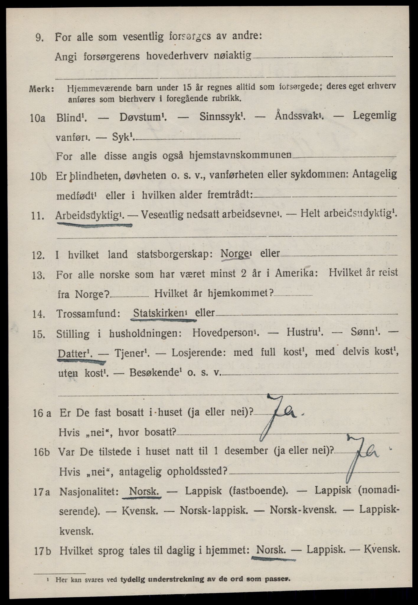 SAT, 1920 census for Fillan, 1920, p. 1313