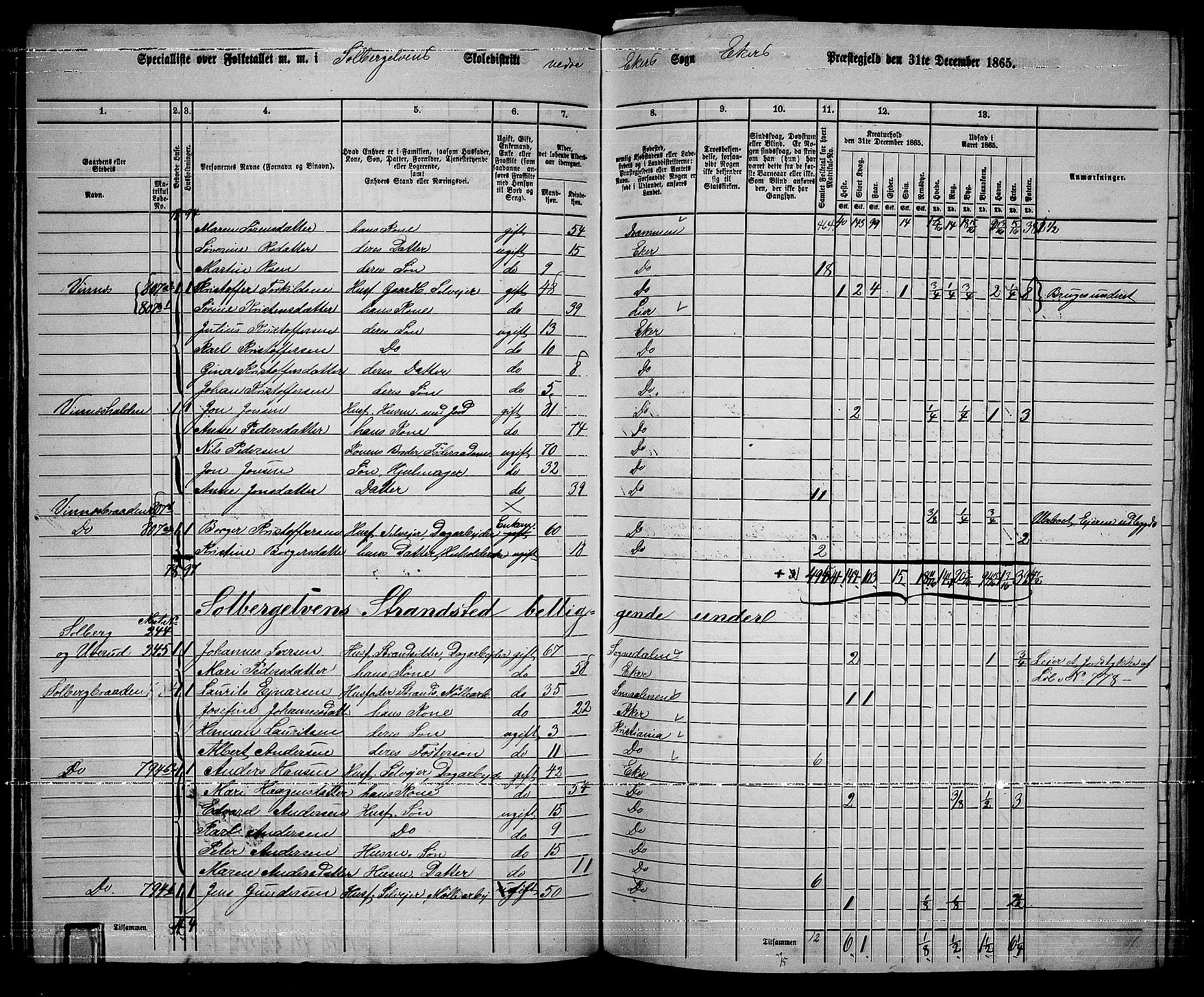 RA, 1865 census for Eiker, 1865, p. 359