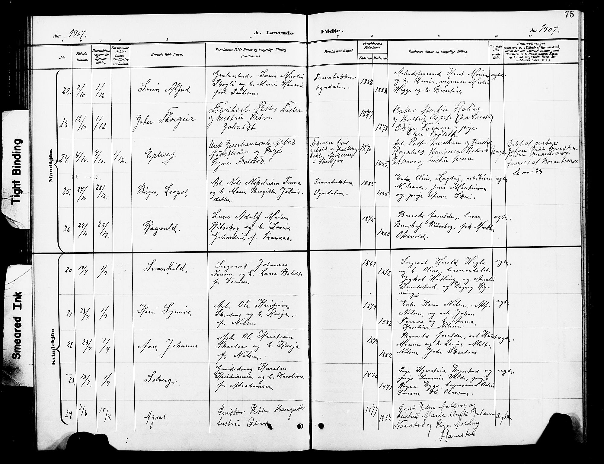 Ministerialprotokoller, klokkerbøker og fødselsregistre - Nord-Trøndelag, AV/SAT-A-1458/739/L0375: Parish register (copy) no. 739C03, 1898-1908, p. 75