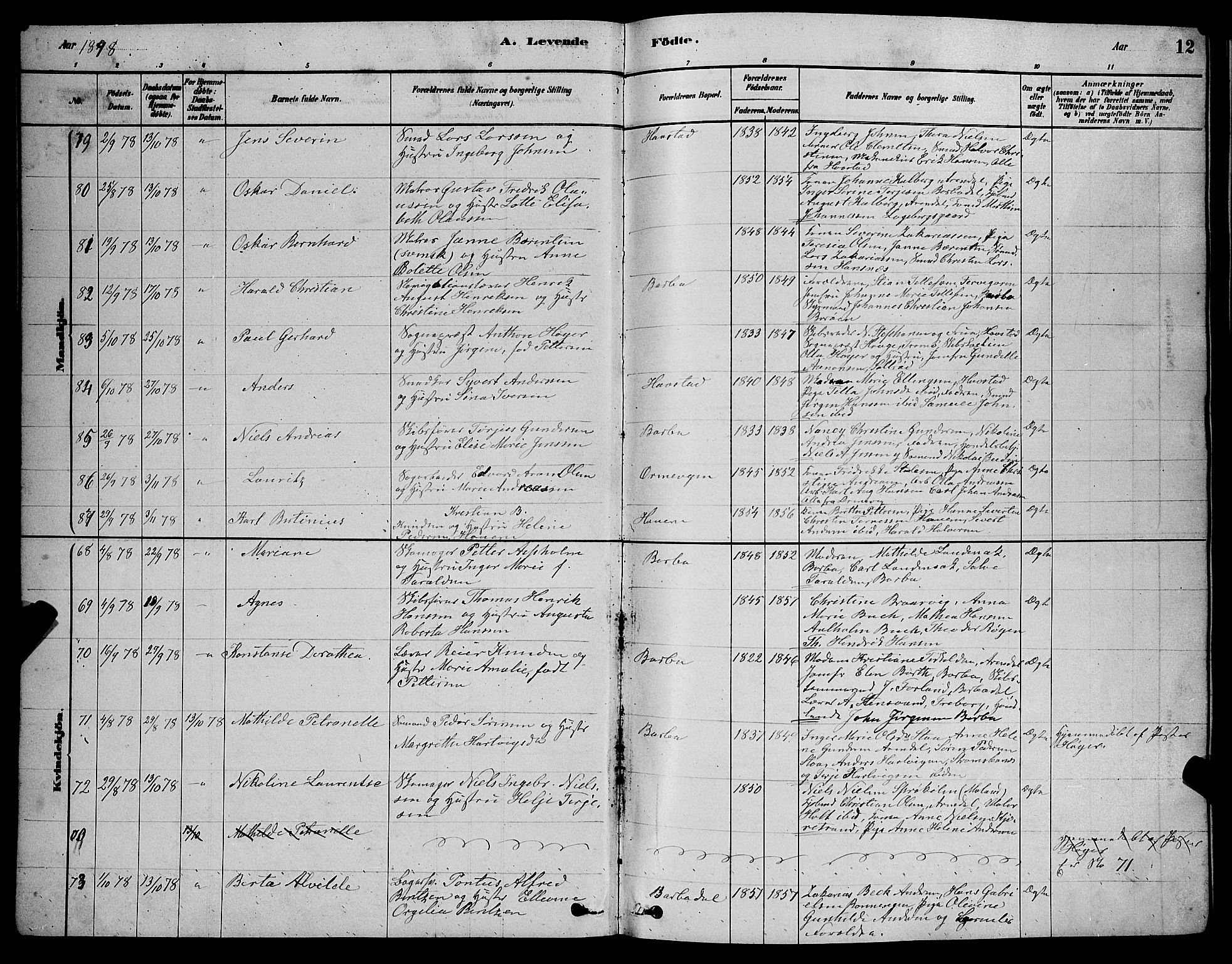 Barbu sokneprestkontor, AV/SAK-1111-0003/F/Fb/L0001: Parish register (copy) no. B 1, 1878-1890, p. 12