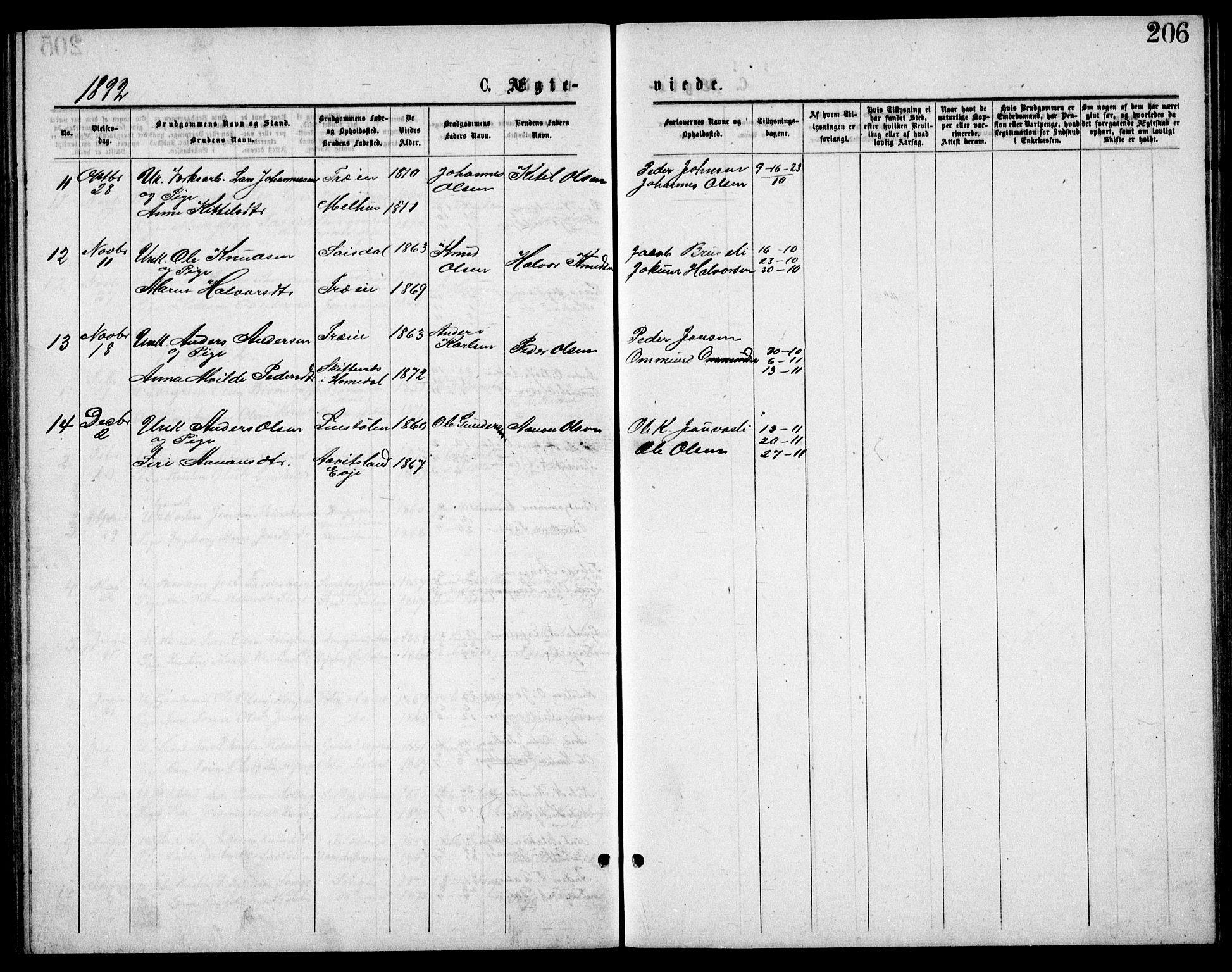Froland sokneprestkontor, SAK/1111-0013/F/Fb/L0009: Parish register (copy) no. B 9, 1875-1893, p. 206