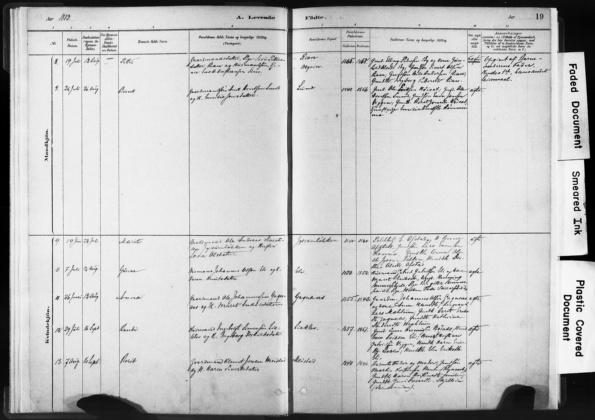 Ministerialprotokoller, klokkerbøker og fødselsregistre - Sør-Trøndelag, AV/SAT-A-1456/665/L0773: Parish register (official) no. 665A08, 1879-1905, p. 19