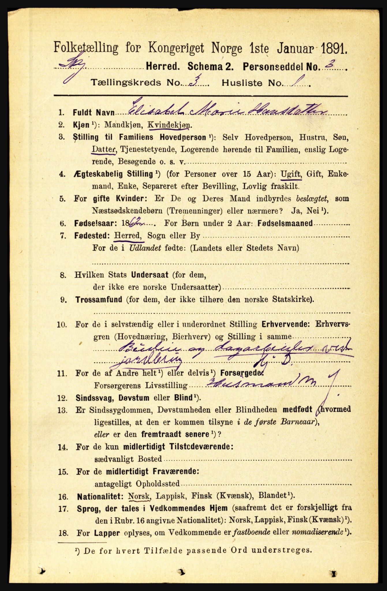 RA, 1891 census for 1842 Skjerstad, 1891, p. 736