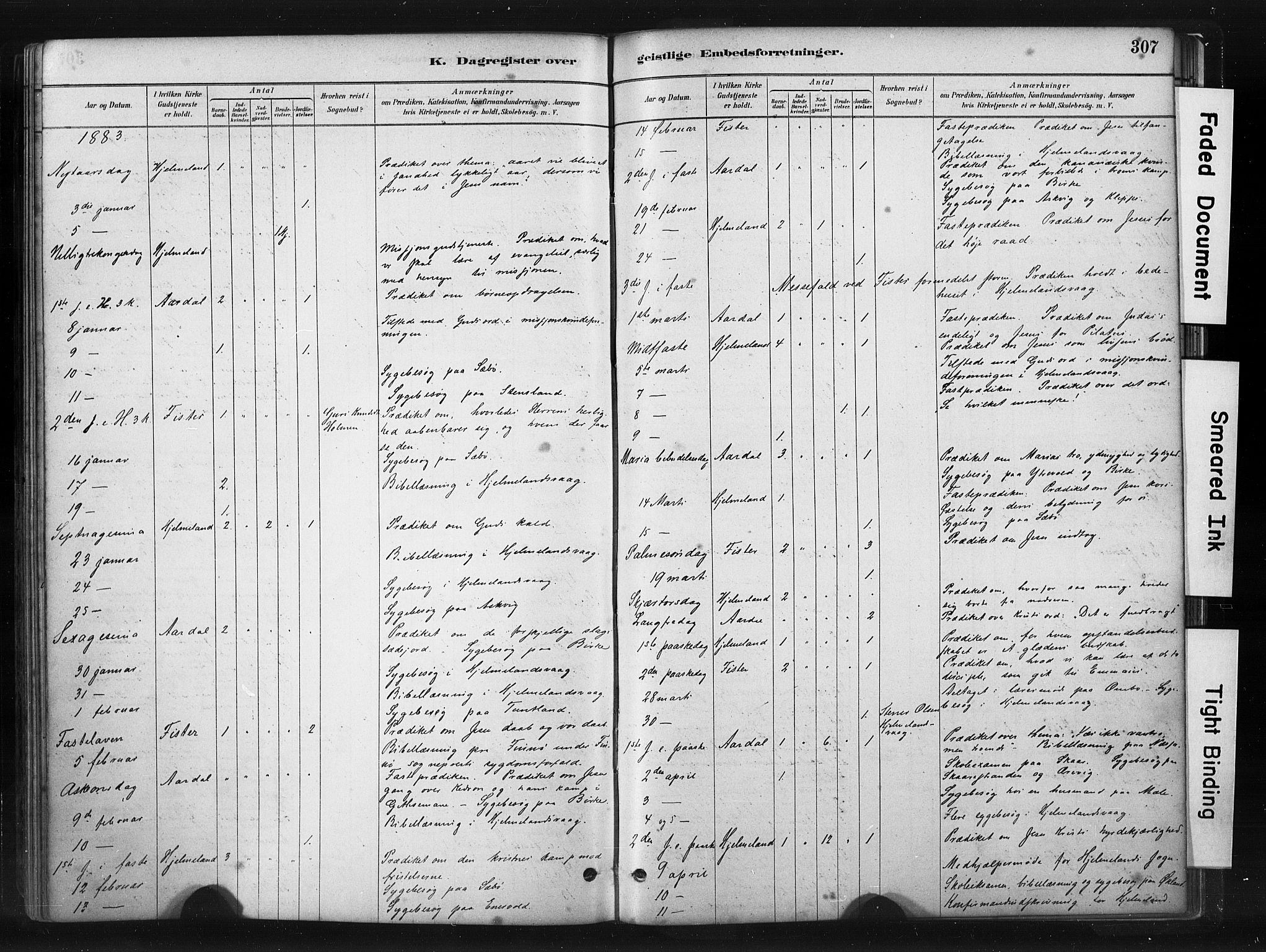 Hjelmeland sokneprestkontor, AV/SAST-A-101843/01/IV/L0014: Parish register (official) no. A 14, 1879-1900, p. 307