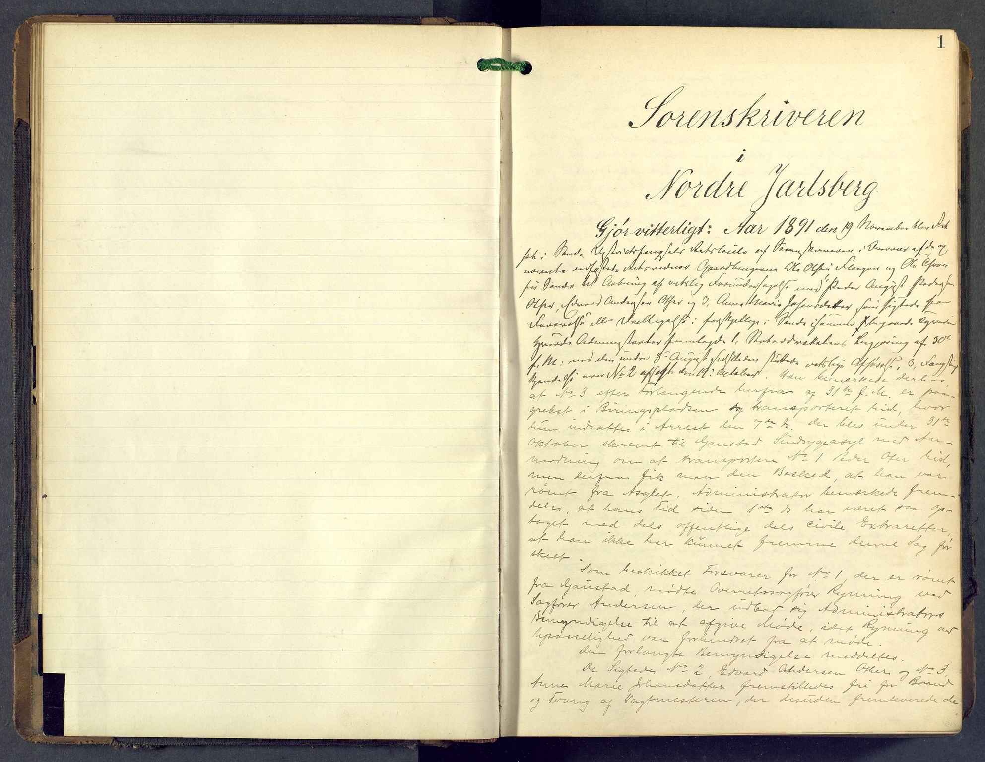 Nordre Jarlsberg sorenskriveri, AV/SAKO-A-80/F/Fb/Fba/L0028: Ekstrarettsprotokoll, 1891-1897, p. 0-1