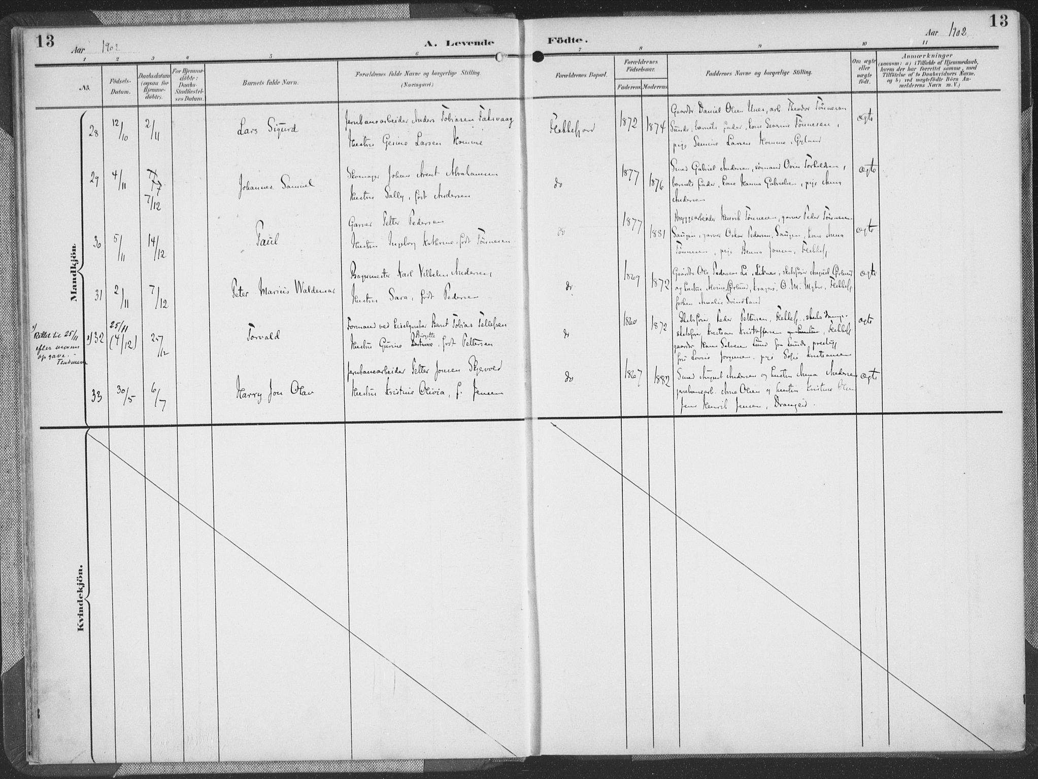 Flekkefjord sokneprestkontor, AV/SAK-1111-0012/F/Fa/Faa/L0002: Parish register (official) no. A 2, 1900-1912, p. 13