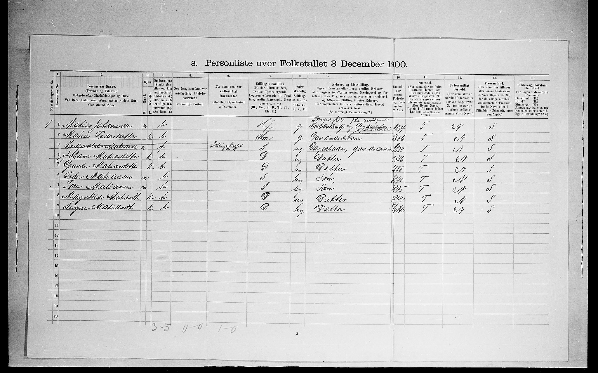 SAH, 1900 census for Ringsaker, 1900, p. 1276