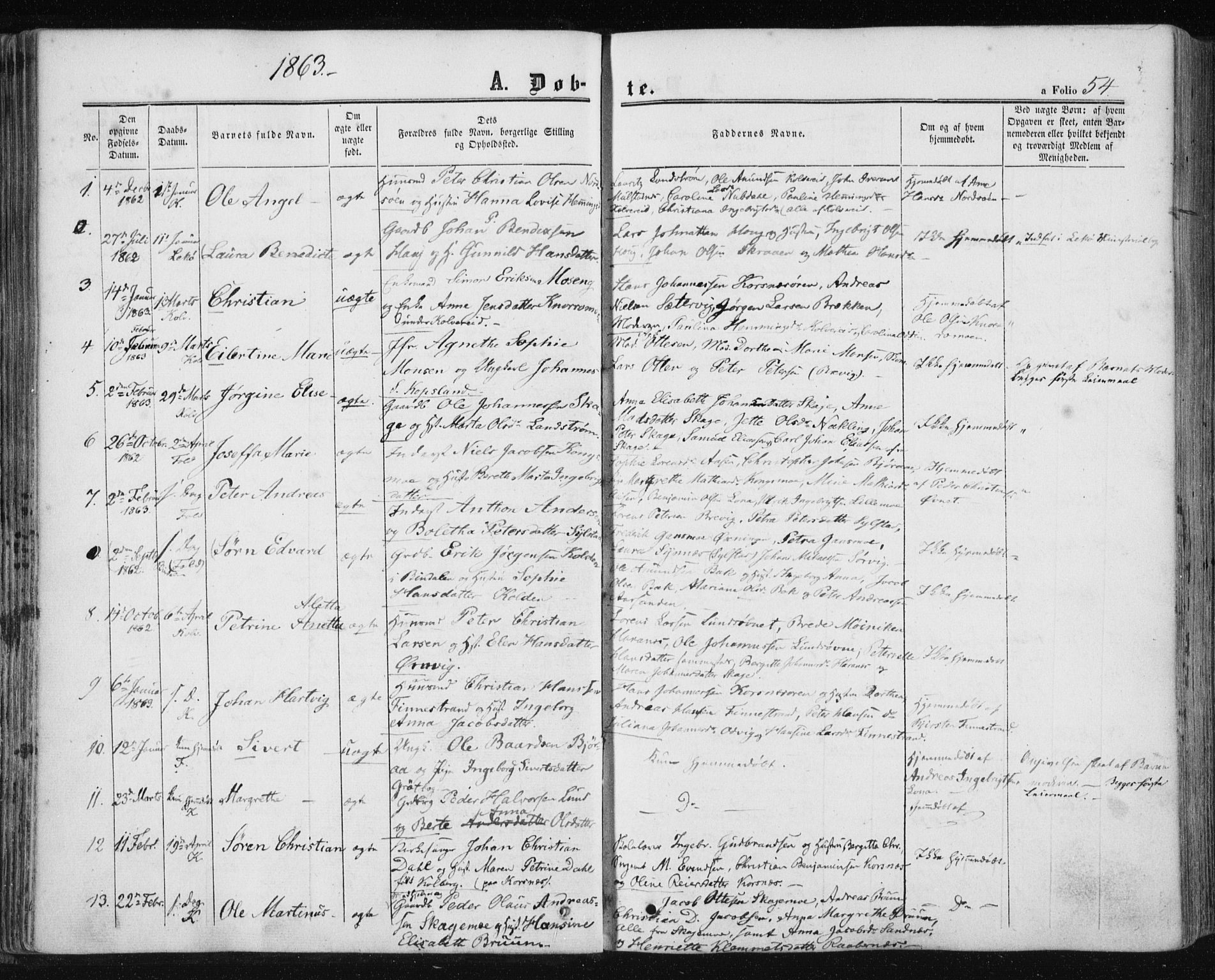 Ministerialprotokoller, klokkerbøker og fødselsregistre - Nord-Trøndelag, AV/SAT-A-1458/780/L0641: Parish register (official) no. 780A06, 1857-1874, p. 54