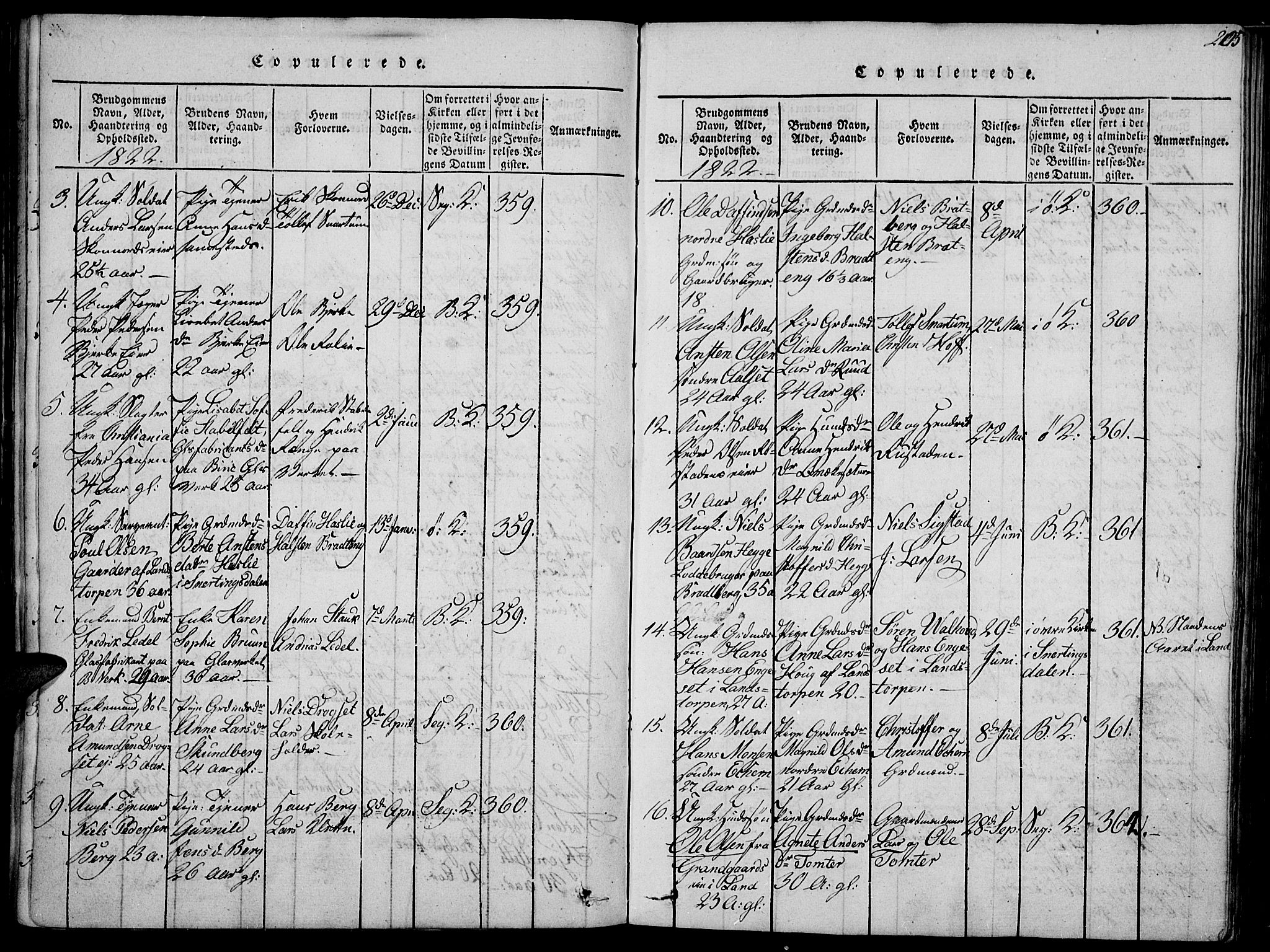 Biri prestekontor, SAH/PREST-096/H/Ha/Haa/L0003: Parish register (official) no. 3, 1814-1828, p. 205
