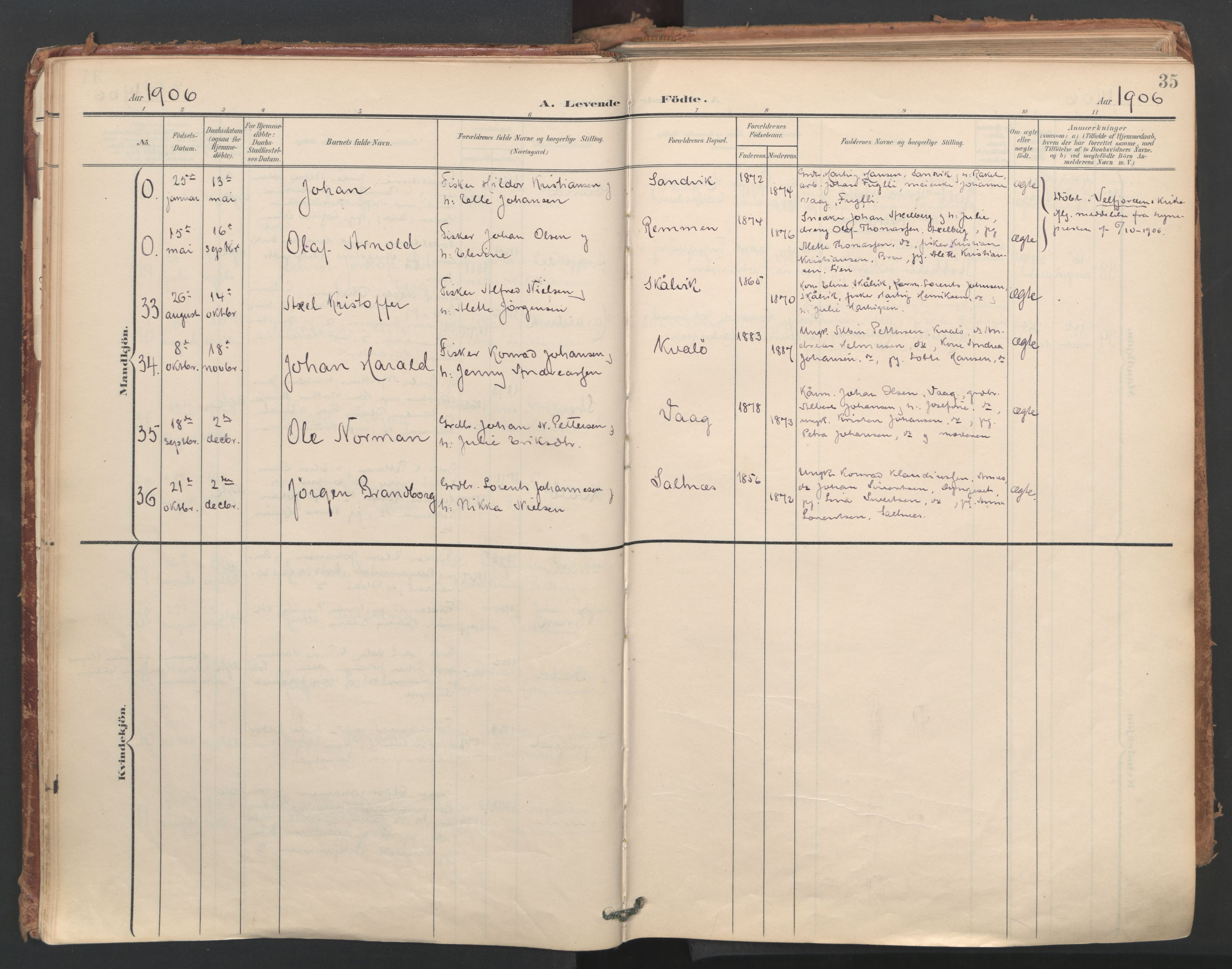 Ministerialprotokoller, klokkerbøker og fødselsregistre - Nordland, AV/SAT-A-1459/812/L0180: Parish register (official) no. 812A09, 1901-1915, p. 35