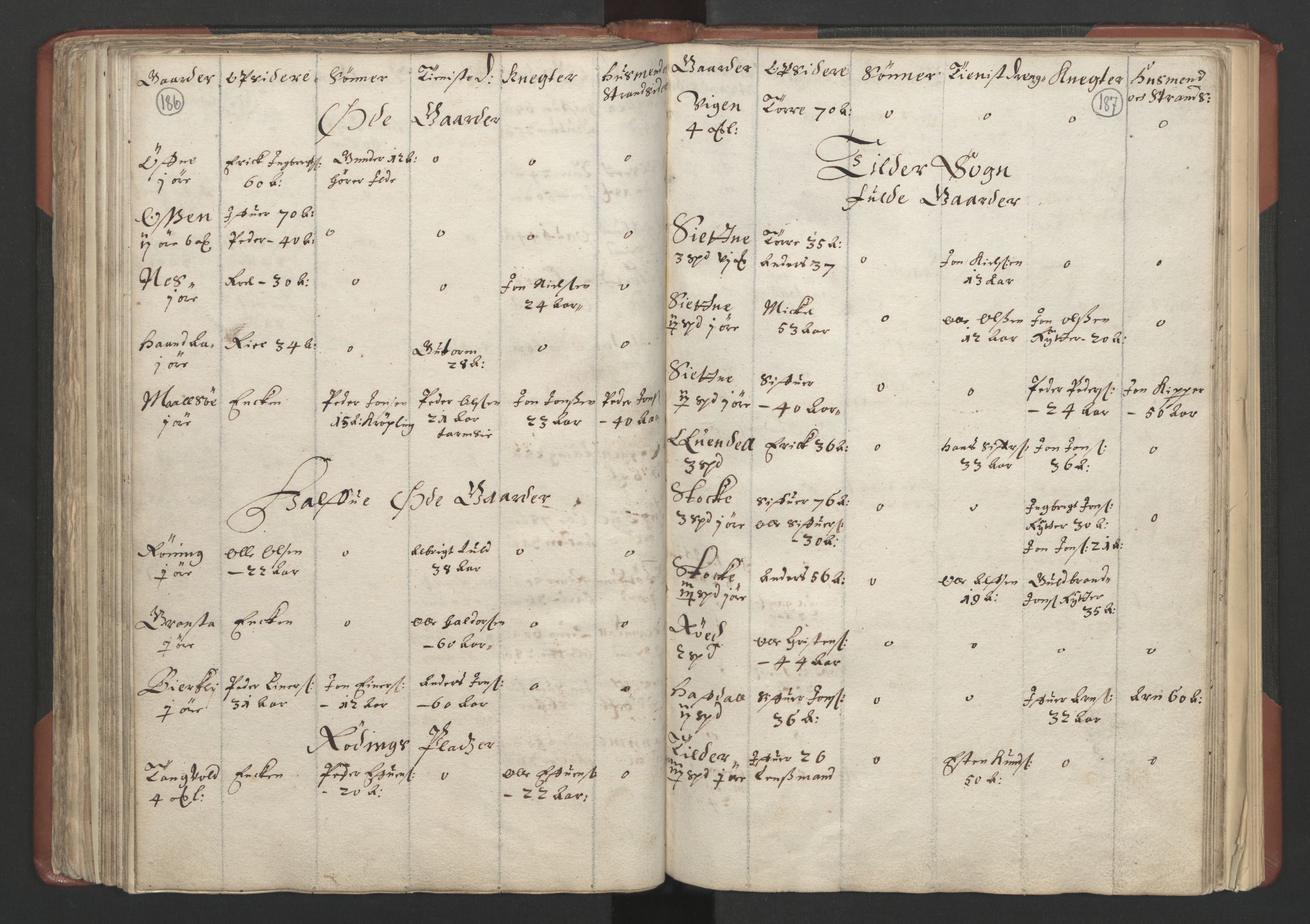 RA, Bailiff's Census 1664-1666, no. 18: Gauldal fogderi, Strinda fogderi and Orkdal fogderi, 1664, p. 186-187