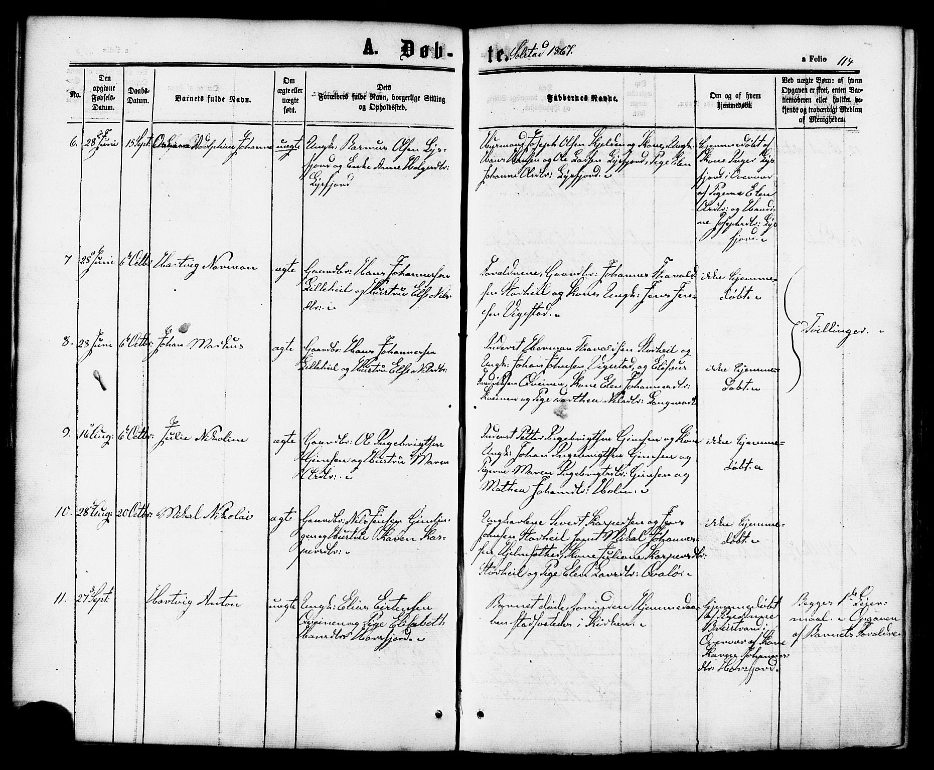 Ministerialprotokoller, klokkerbøker og fødselsregistre - Nordland, AV/SAT-A-1459/810/L0147: Parish register (official) no. 810A08 /2, 1862-1874, p. 114