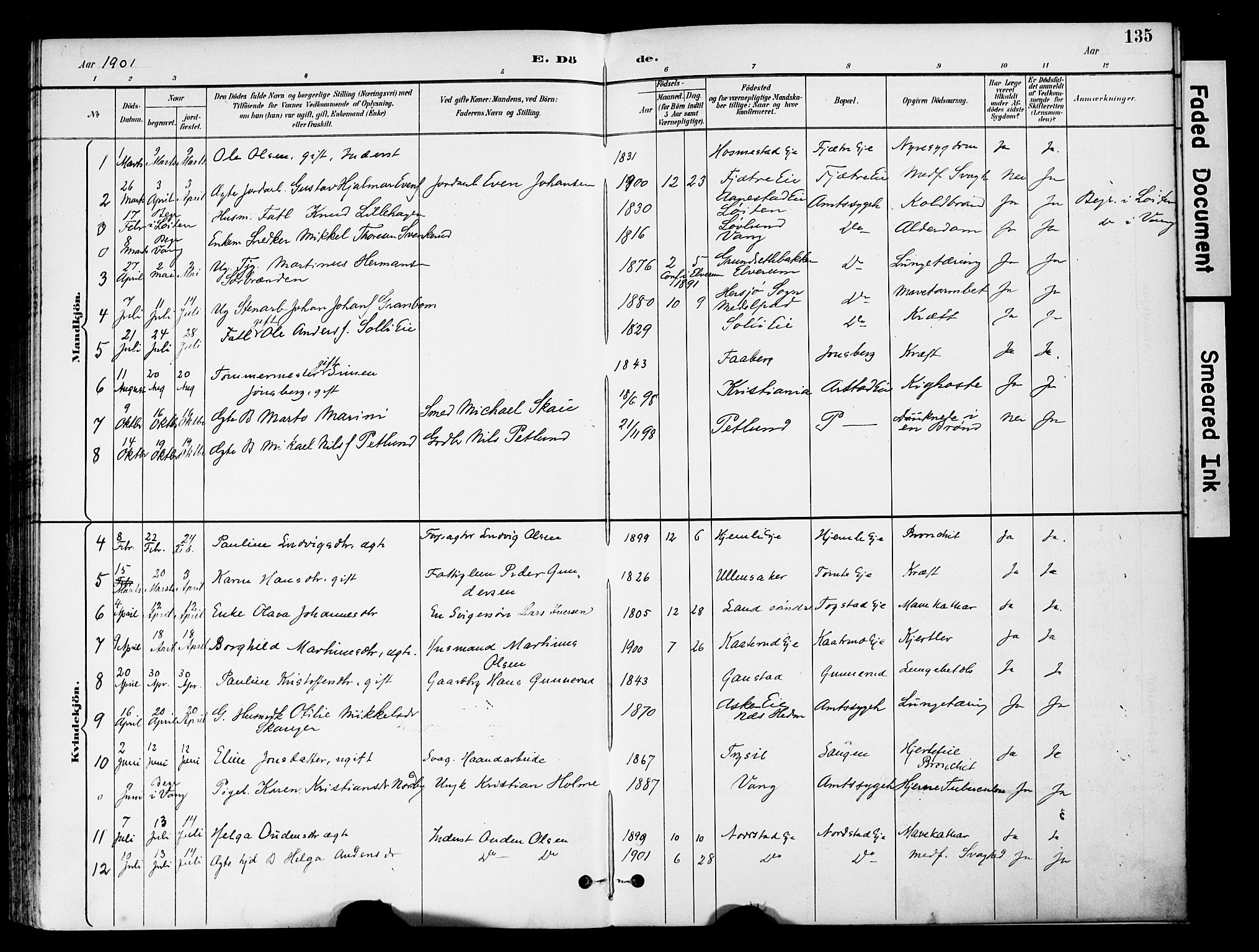 Stange prestekontor, SAH/PREST-002/K/L0021: Parish register (official) no. 21, 1891-1902, p. 135