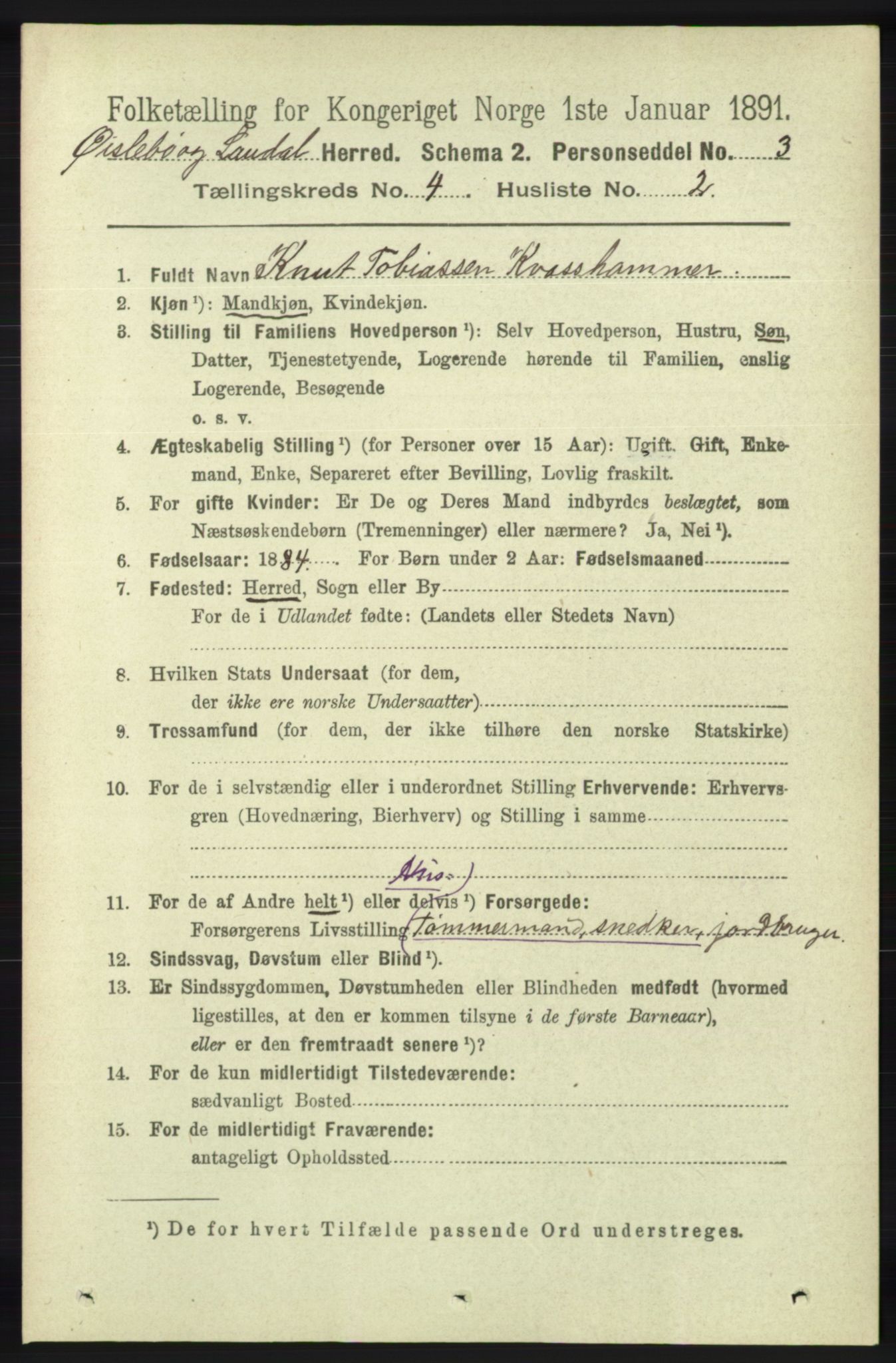 RA, 1891 census for 1021 Øyslebø og Laudal, 1891, p. 1011