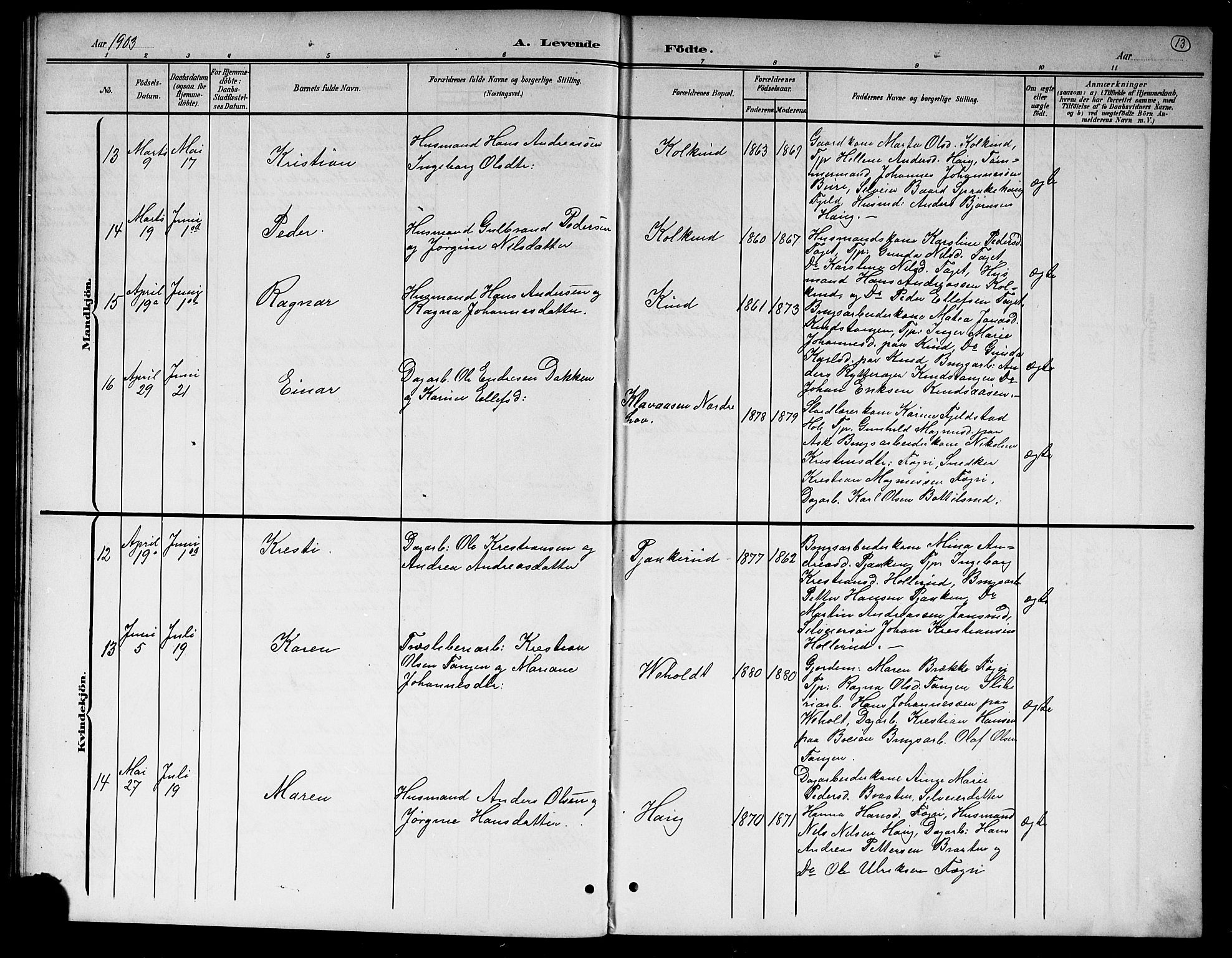 Hole kirkebøker, SAKO/A-228/G/Gb/L0004: Parish register (copy) no. II 4, 1901-1916, p. 13