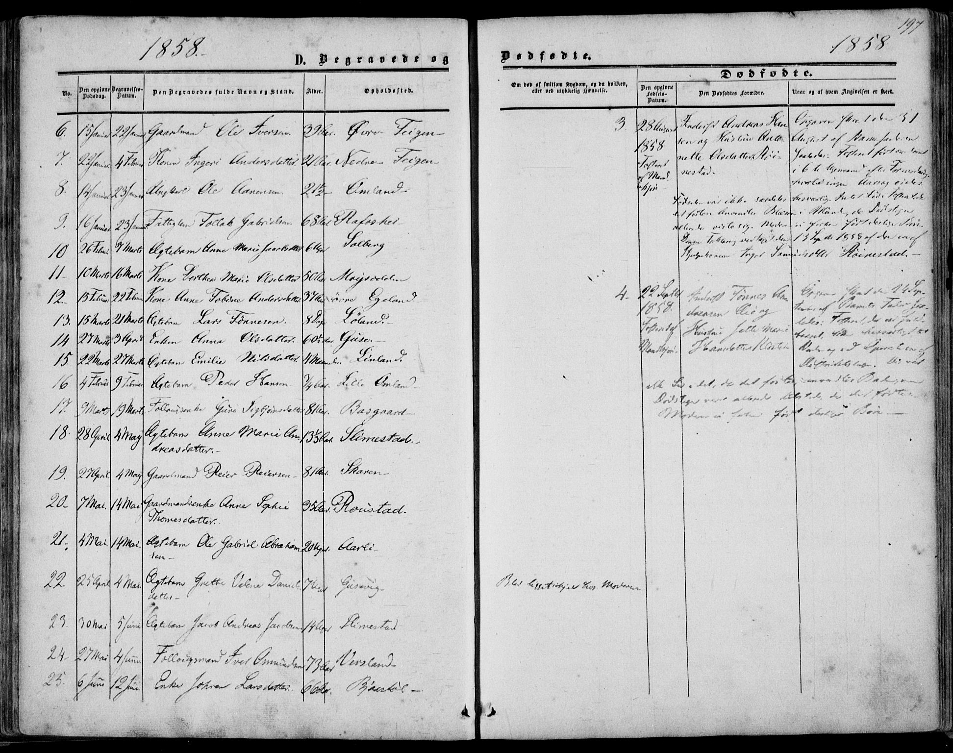 Kvinesdal sokneprestkontor, AV/SAK-1111-0026/F/Fa/Fab/L0006: Parish register (official) no. A 6, 1857-1869, p. 197