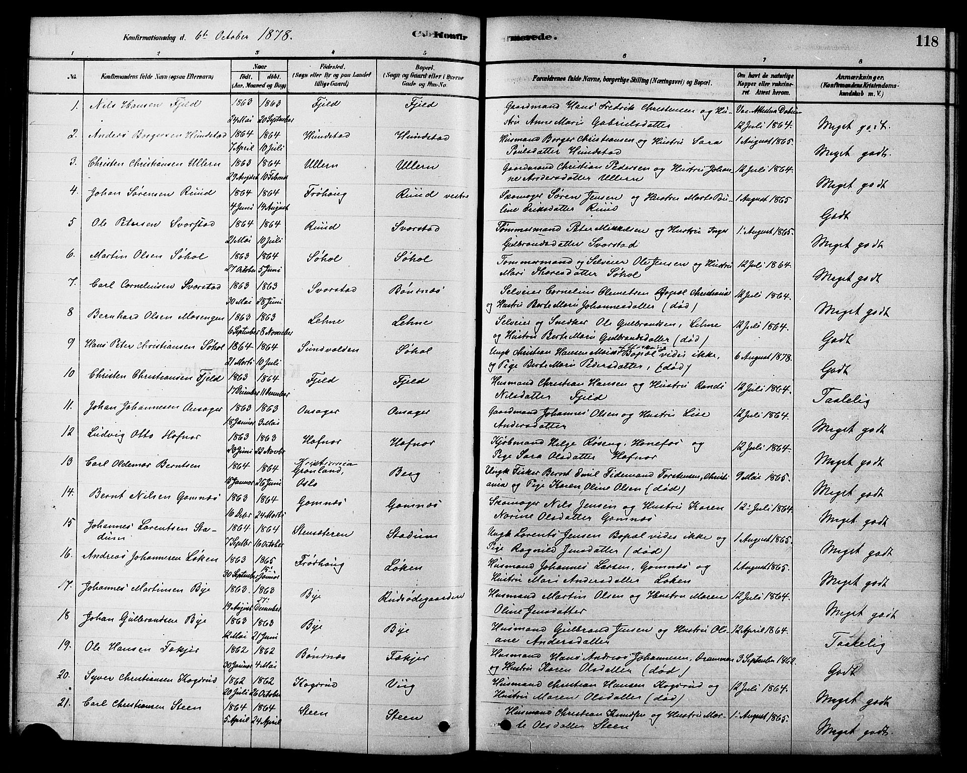 Hole kirkebøker, SAKO/A-228/F/Fa/L0008: Parish register (official) no. I 8, 1878-1891, p. 118