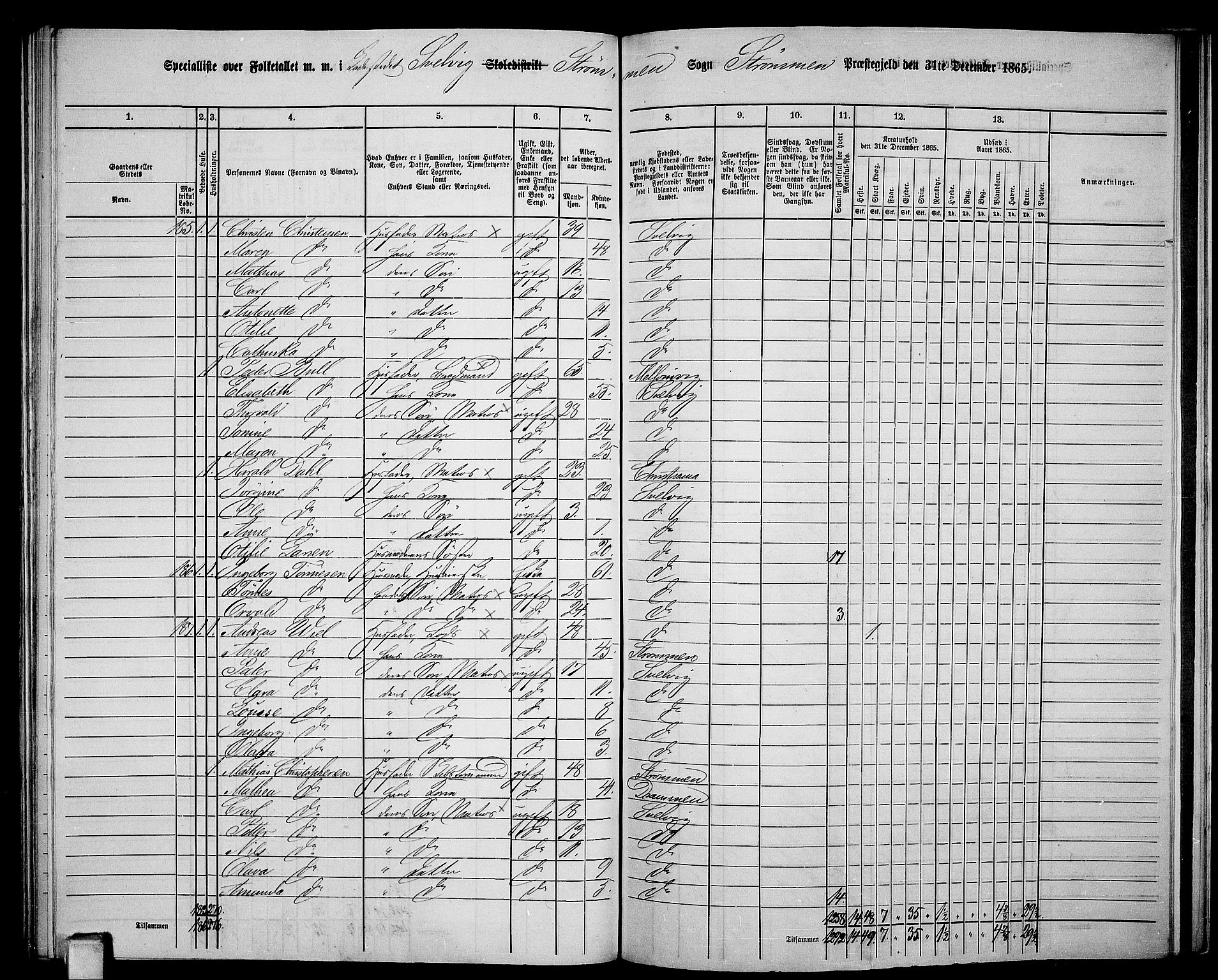 RA, 1865 census for Strømm, 1865, p. 106