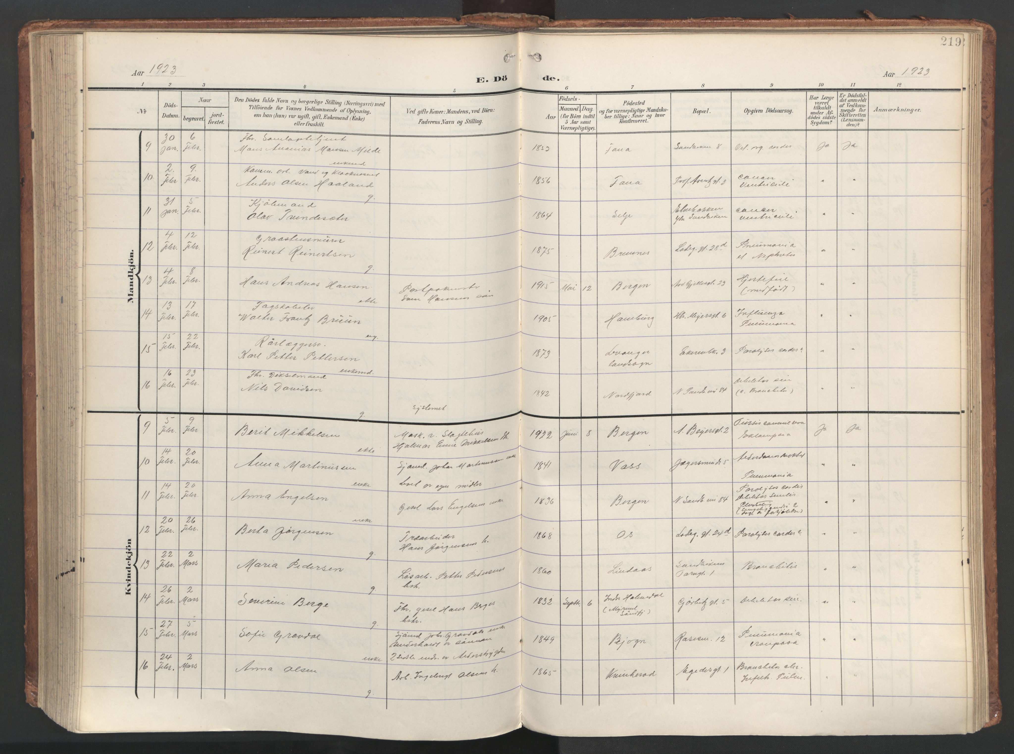Sandviken Sokneprestembete, AV/SAB-A-77601/H/Ha/L0019: Parish register (official) no. E 2, 1905-1933, p. 219