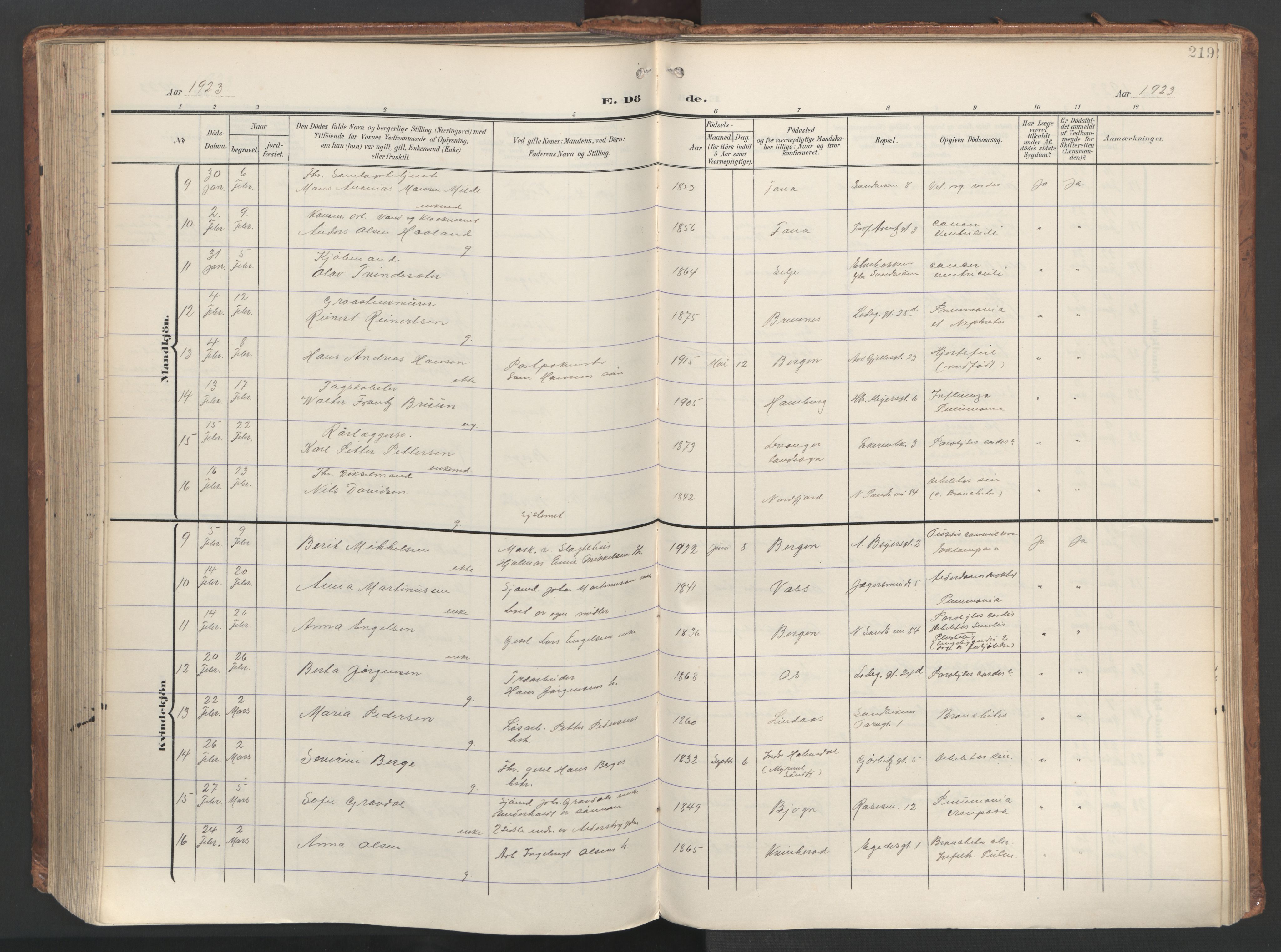 Sandviken Sokneprestembete, SAB/A-77601/H/Ha/L0019: Parish register (official) no. E 2, 1905-1933, p. 219