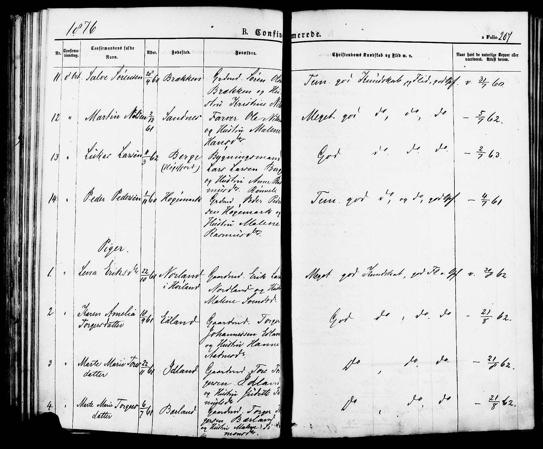 Lye sokneprestkontor, AV/SAST-A-101794/001/30BA/L0008: Parish register (official) no. A 7, 1872-1881, p. 207