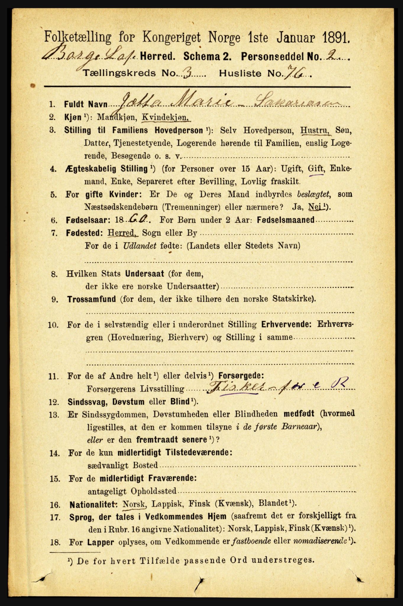 RA, 1891 census for 1862 Borge, 1891, p. 1995