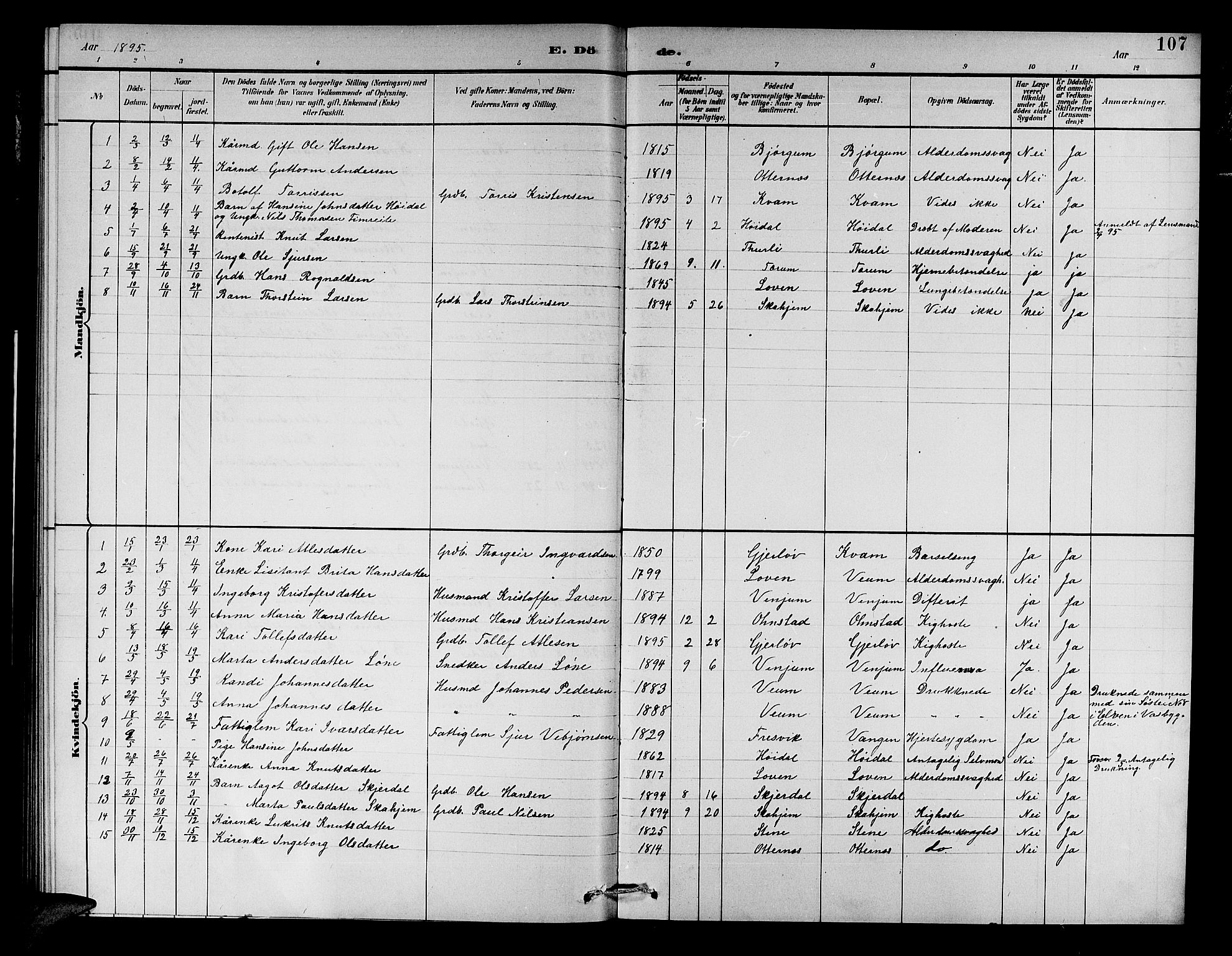 Aurland sokneprestembete, SAB/A-99937/H/Hb/Hba/L0002: Parish register (copy) no. A 2, 1880-1895, p. 107