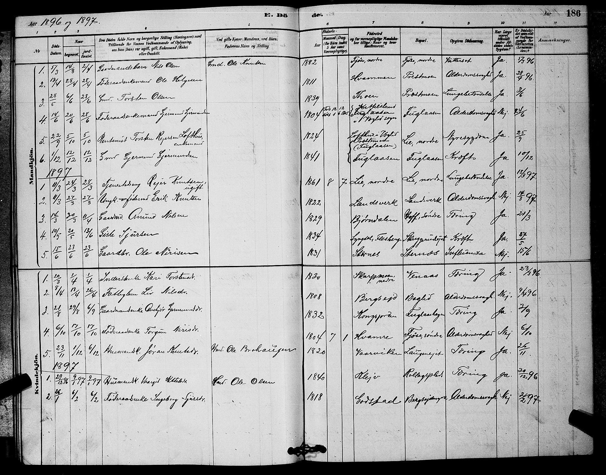 Rollag kirkebøker, SAKO/A-240/G/Ga/L0004: Parish register (copy) no. I 4, 1878-1903, p. 186