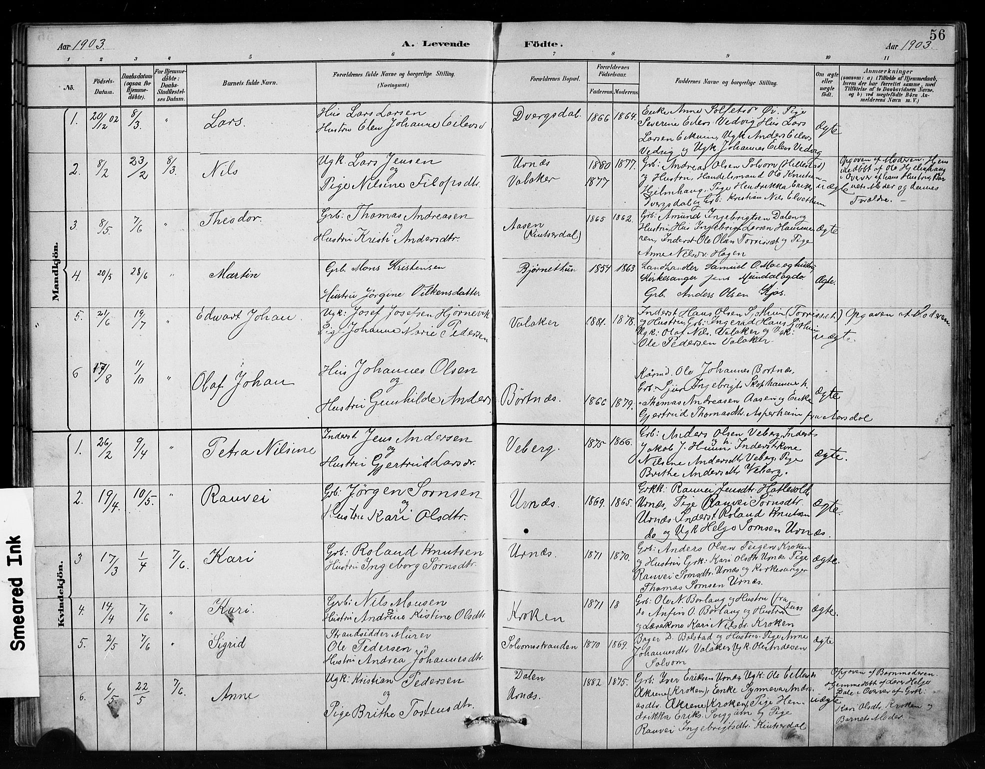 Hafslo sokneprestembete, AV/SAB-A-80301/H/Hab/Habc/L0001: Parish register (copy) no. C 1, 1882-1908, p. 56