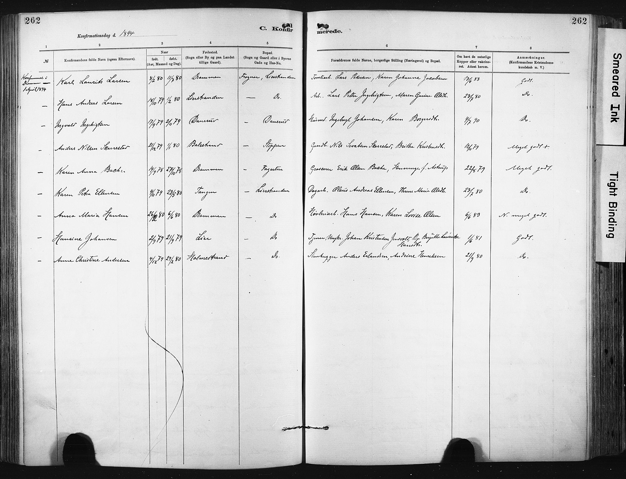 Lier kirkebøker, SAKO/A-230/F/Fa/L0015: Parish register (official) no. I 15, 1883-1894, p. 262