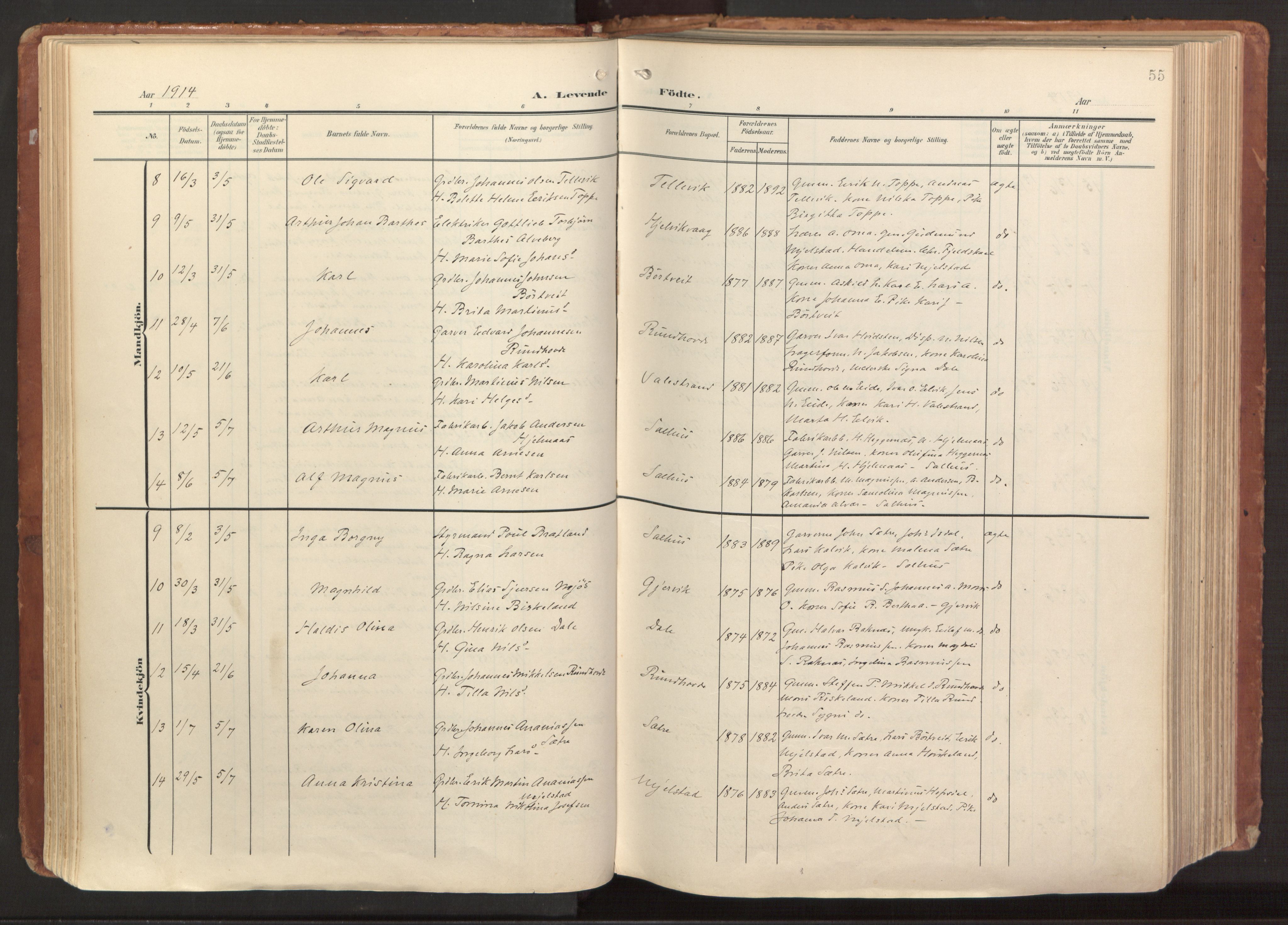 Hamre sokneprestembete, AV/SAB-A-75501/H/Ha/Haa/Haab/L0002: Parish register (official) no. B 2, 1905-1924, p. 55