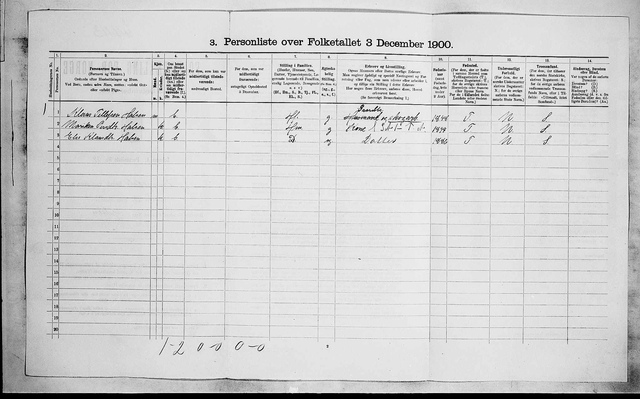 SAKO, 1900 census for Drangedal, 1900, p. 1010