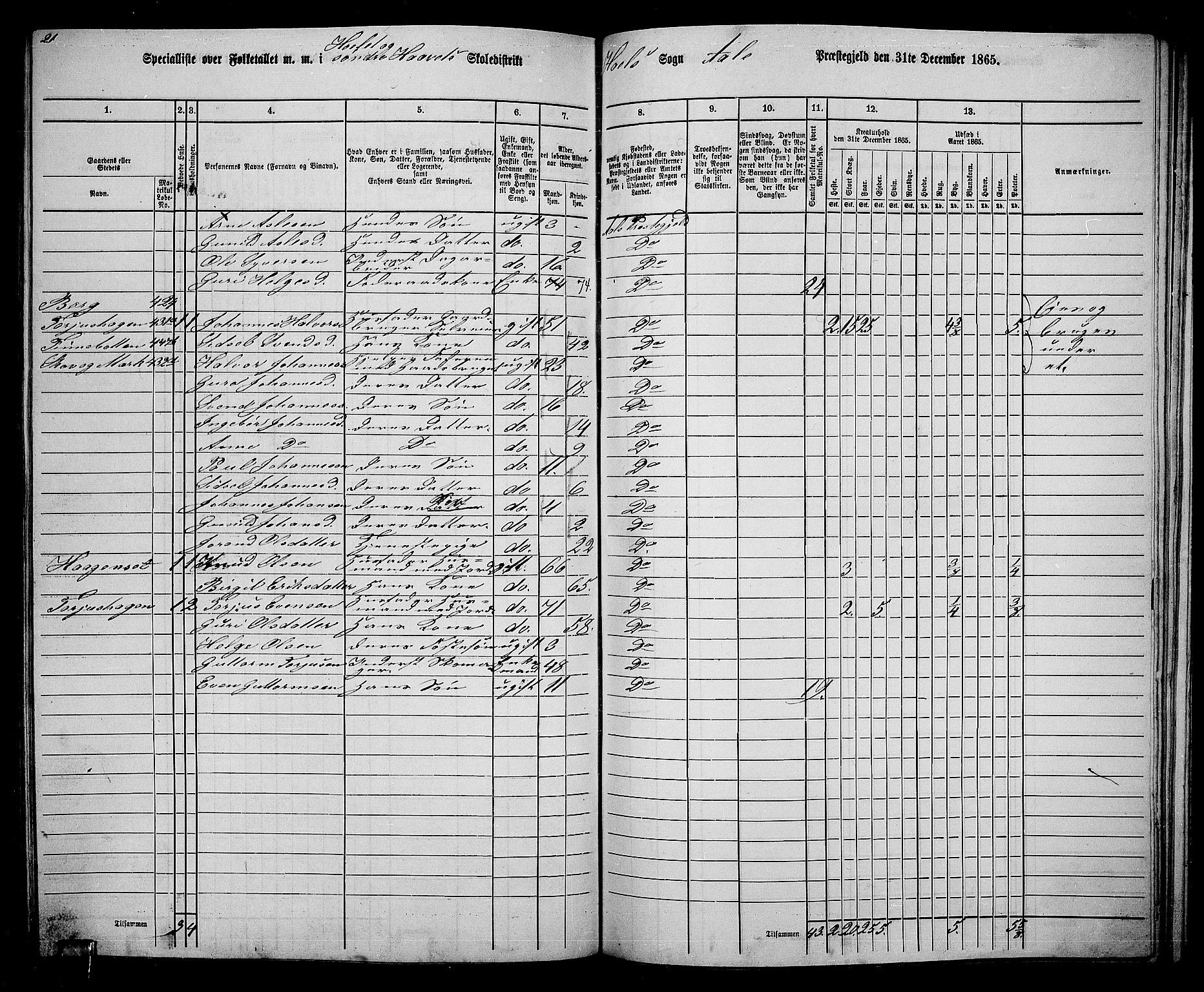 RA, 1865 census for Ål, 1865, p. 204