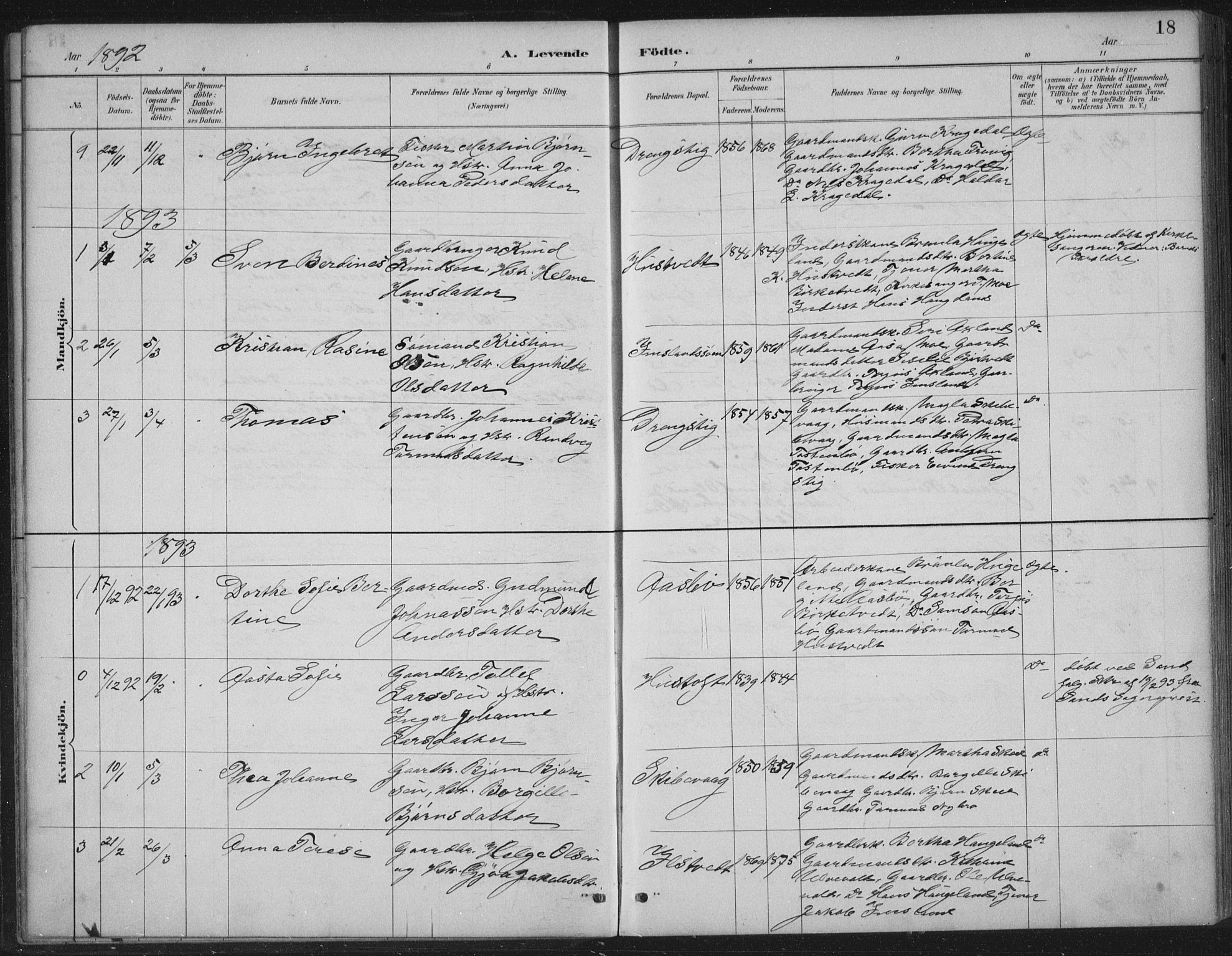 Vikedal sokneprestkontor, AV/SAST-A-101840/01/IV: Parish register (official) no. A 12, 1886-1929, p. 18
