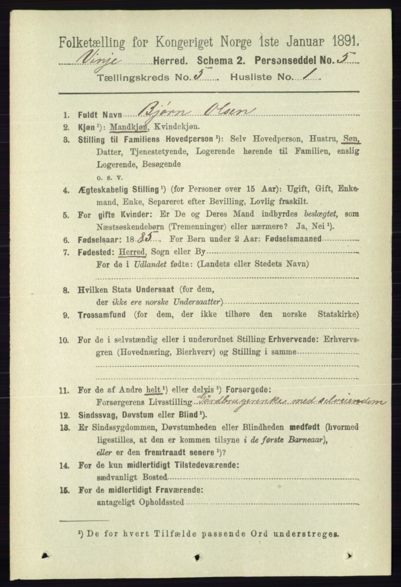 RA, 1891 census for 0834 Vinje, 1891, p. 1052