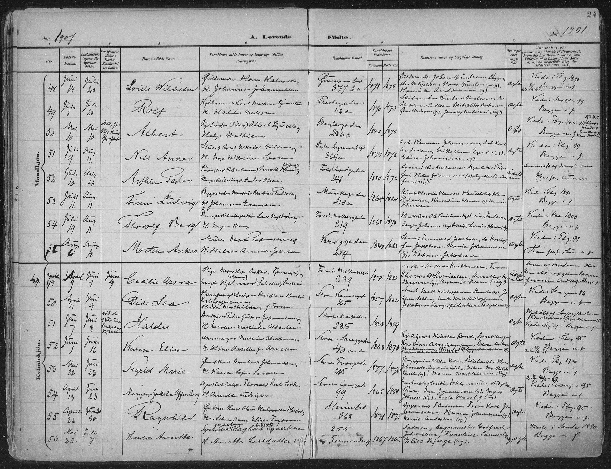 Tønsberg kirkebøker, AV/SAKO-A-330/F/Fa/L0014: Parish register (official) no. I 14, 1900-1913, p. 24