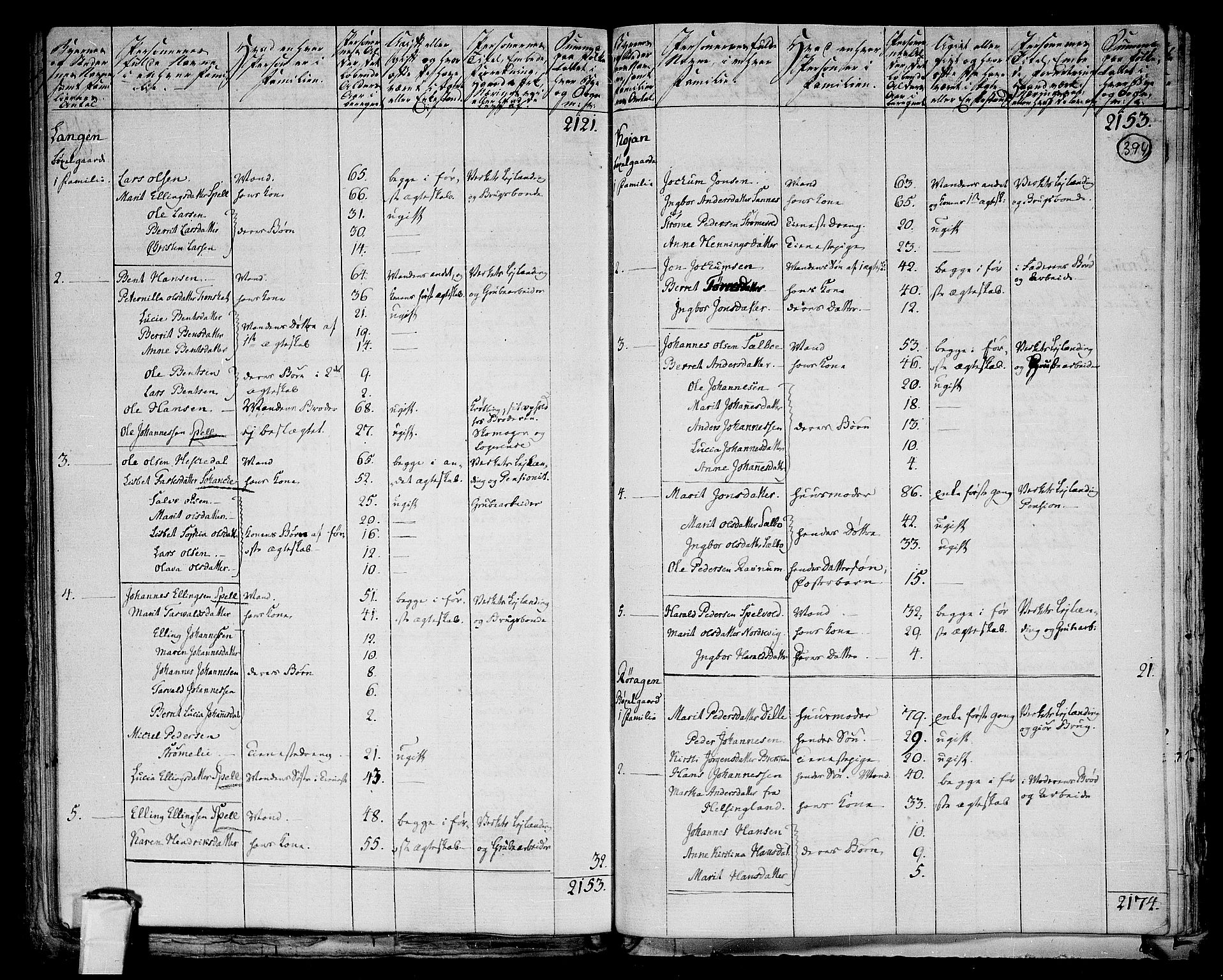 RA, 1801 census for 1640P Røros, 1801, p. 393b-394a