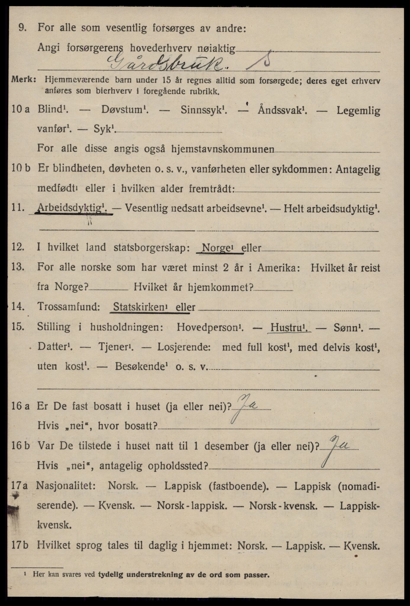 SAT, 1920 census for Hølonda, 1920, p. 406