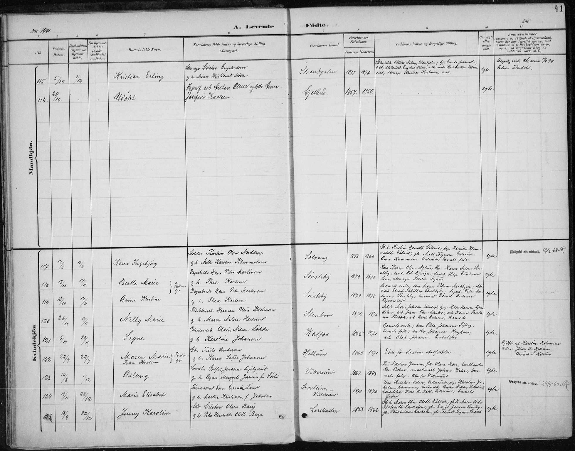 Modum kirkebøker, AV/SAKO-A-234/F/Fa/L0013: Parish register (official) no. 13, 1899-1907, p. 41