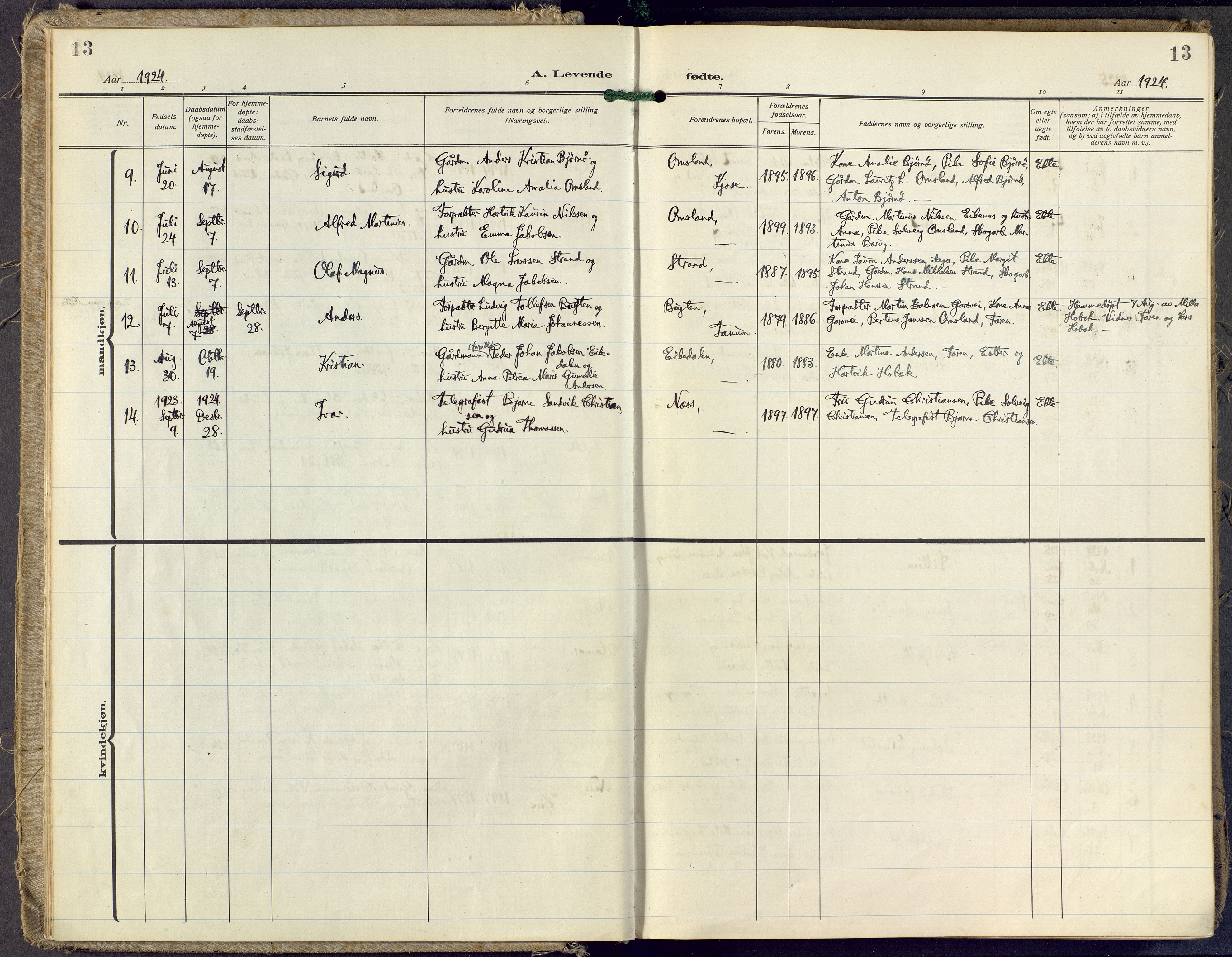 Brunlanes kirkebøker, AV/SAKO-A-342/F/Fd/L0002: Parish register (official) no. IV 2, 1918-1958, p. 13