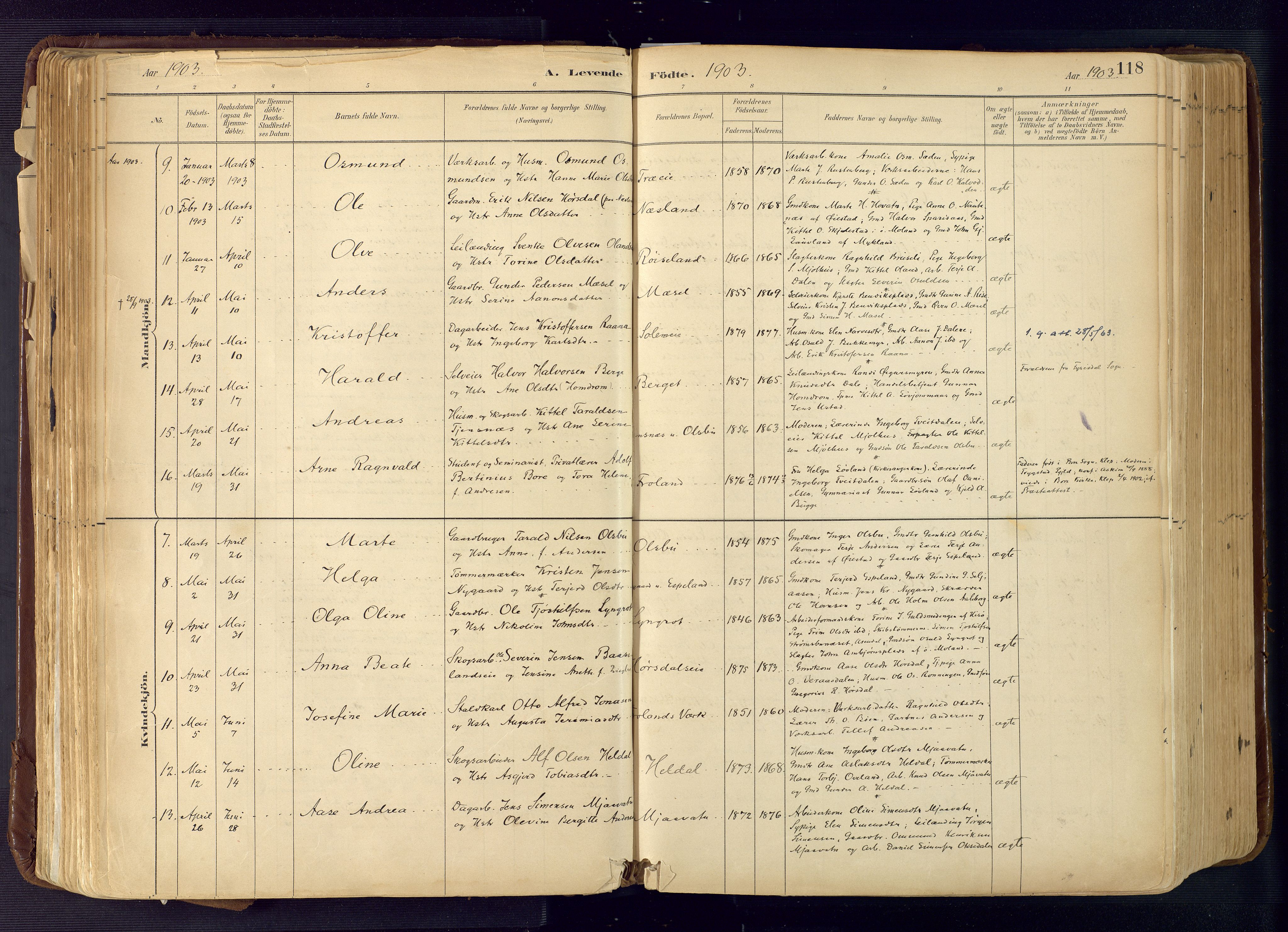 Froland sokneprestkontor, SAK/1111-0013/F/Fa/L0005: Parish register (official) no. A 5, 1882-1921, p. 118