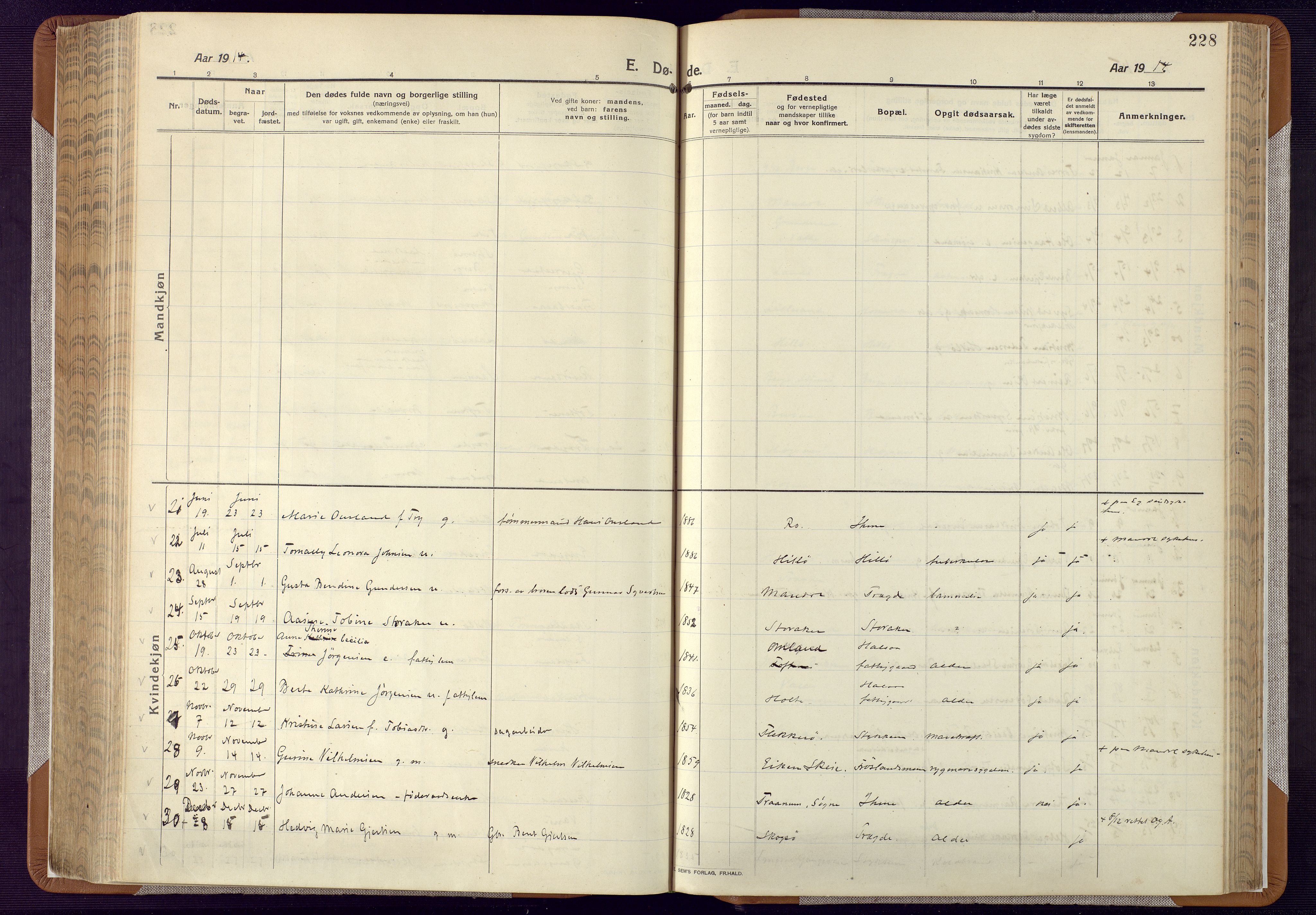 Mandal sokneprestkontor, AV/SAK-1111-0030/F/Fa/Faa/L0022: Parish register (official) no. A 22, 1913-1925, p. 228