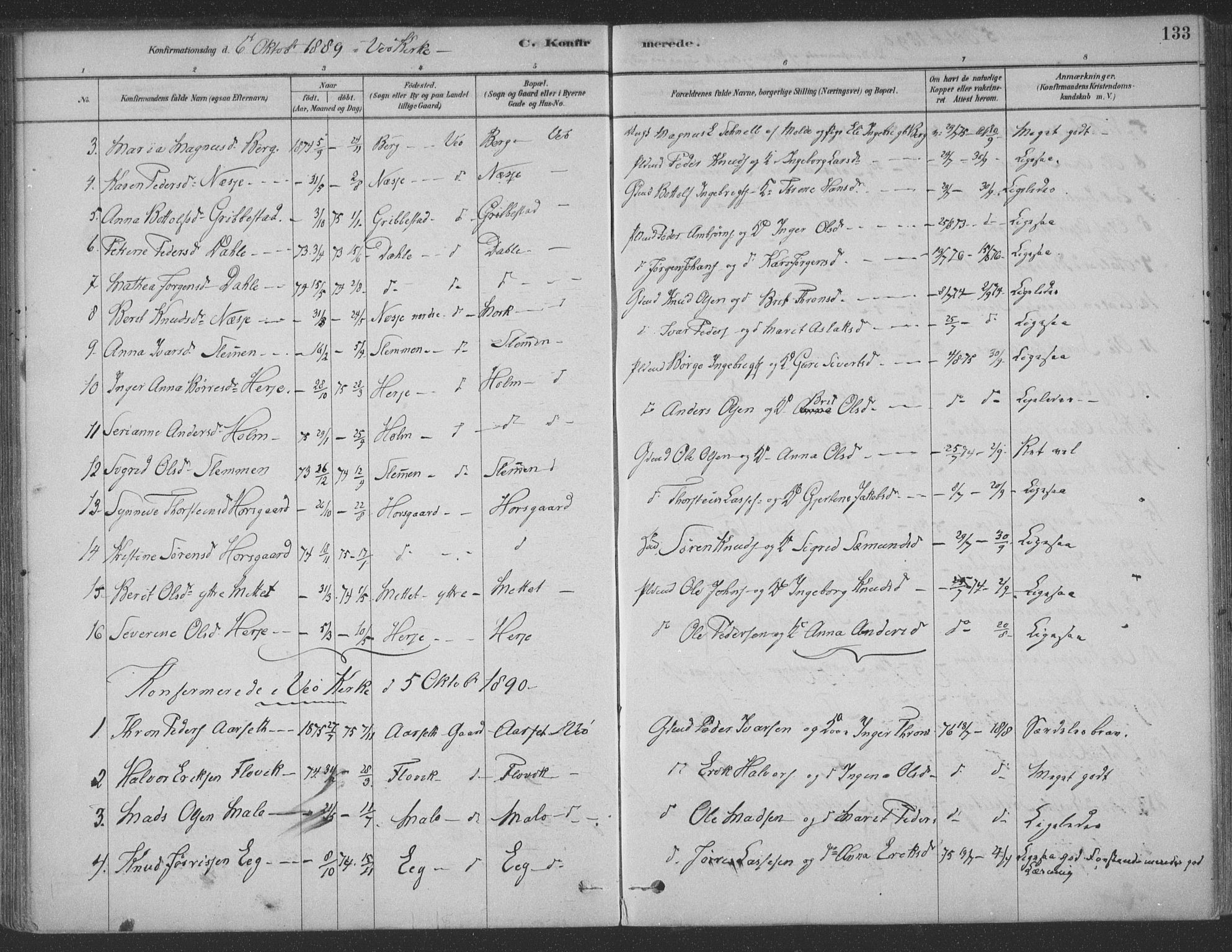 Ministerialprotokoller, klokkerbøker og fødselsregistre - Møre og Romsdal, SAT/A-1454/547/L0604: Parish register (official) no. 547A06, 1878-1906, p. 133